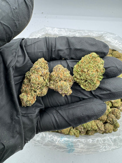 LCG (Indoor)