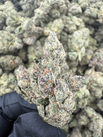 LCG (MOTA)