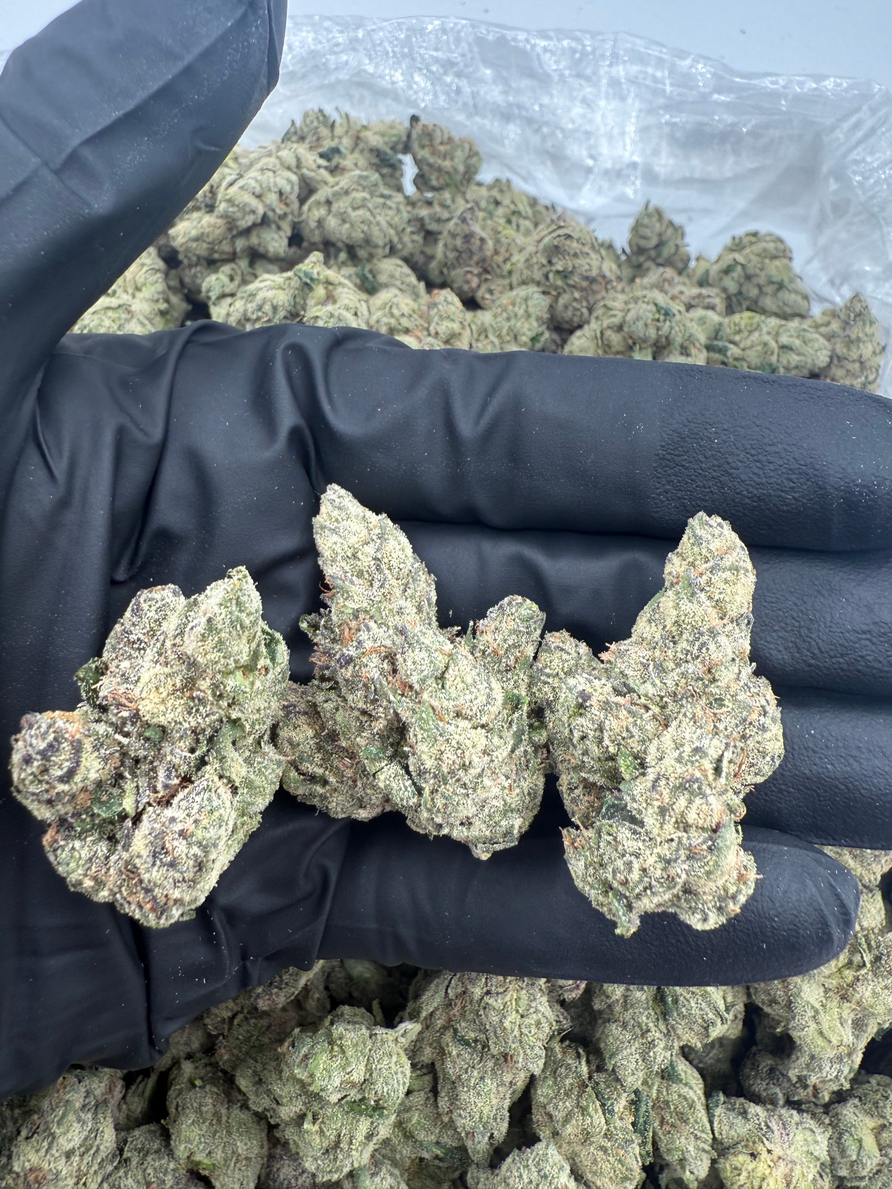LCG (MOTA)