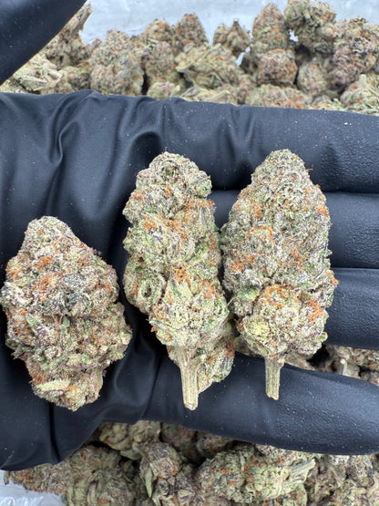 Lemon Sherbet