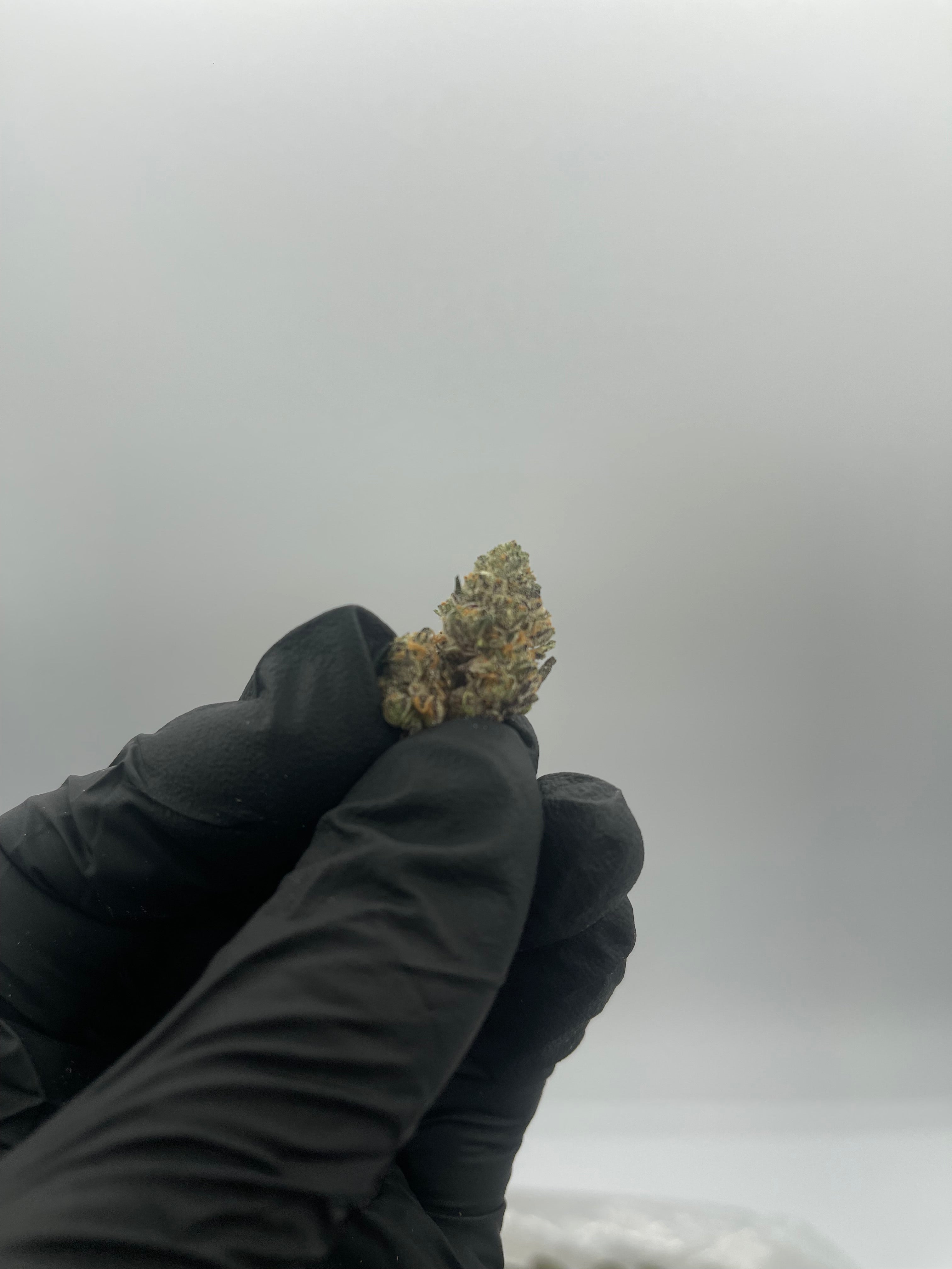 Menthol OG Smalls