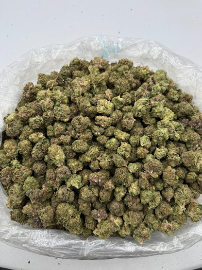 Miami Yayo