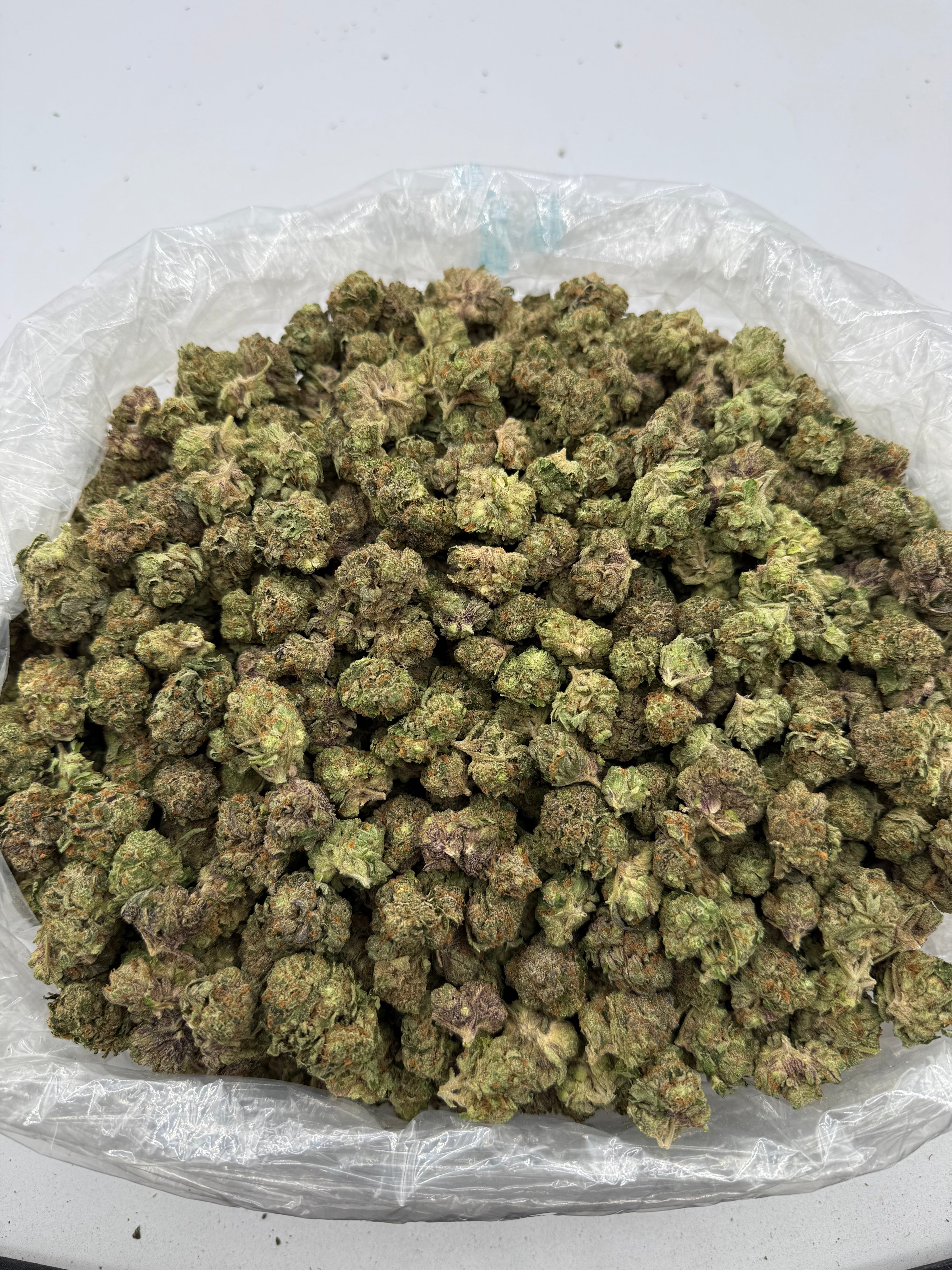 Miami Yayo