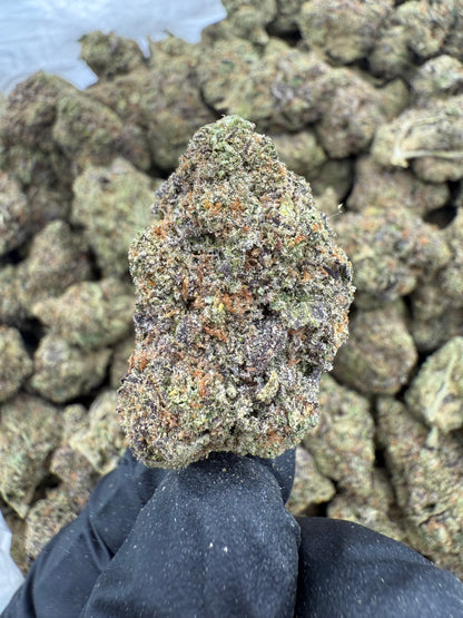 Midnight Grape