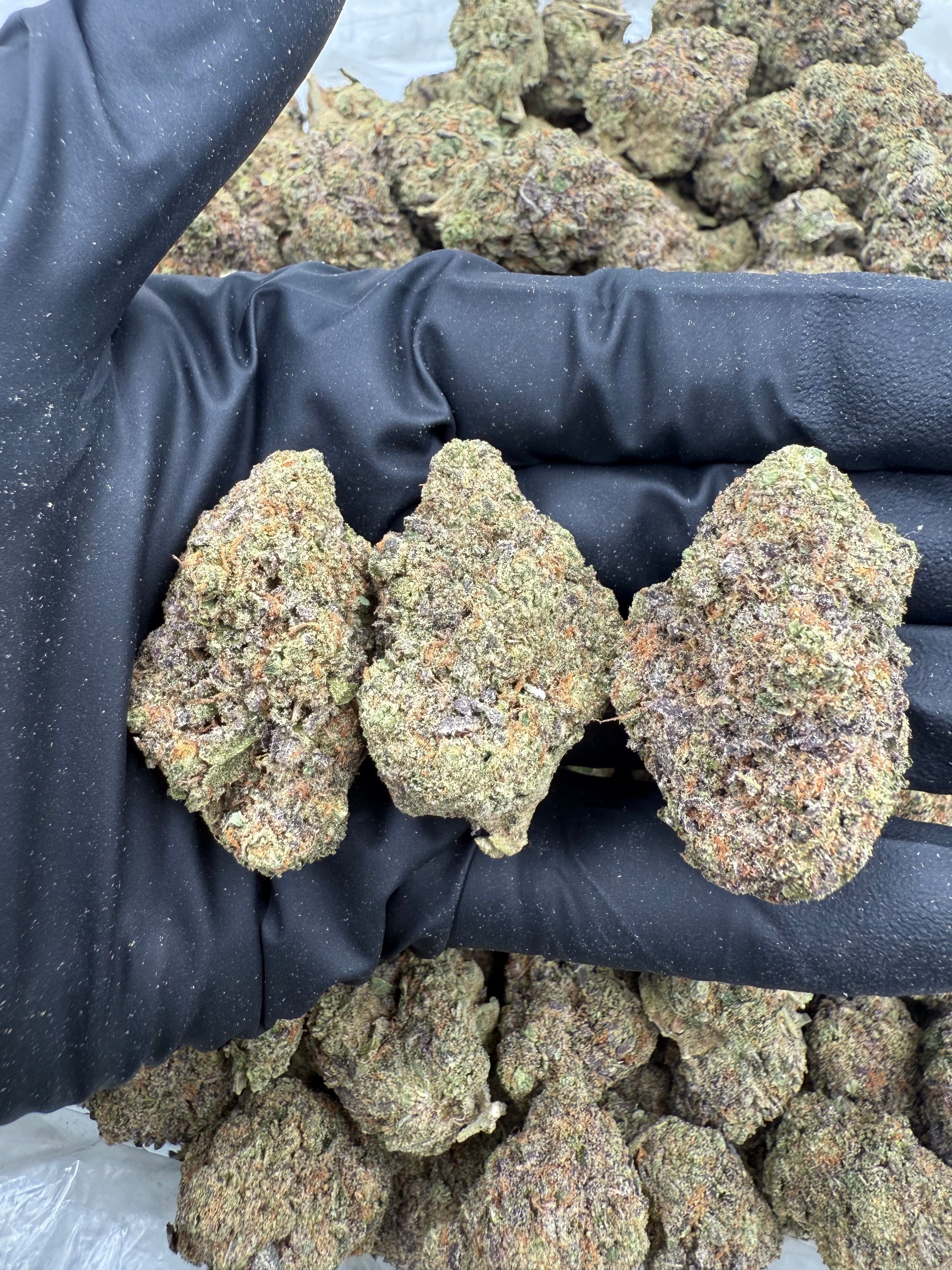 Midnight Grape