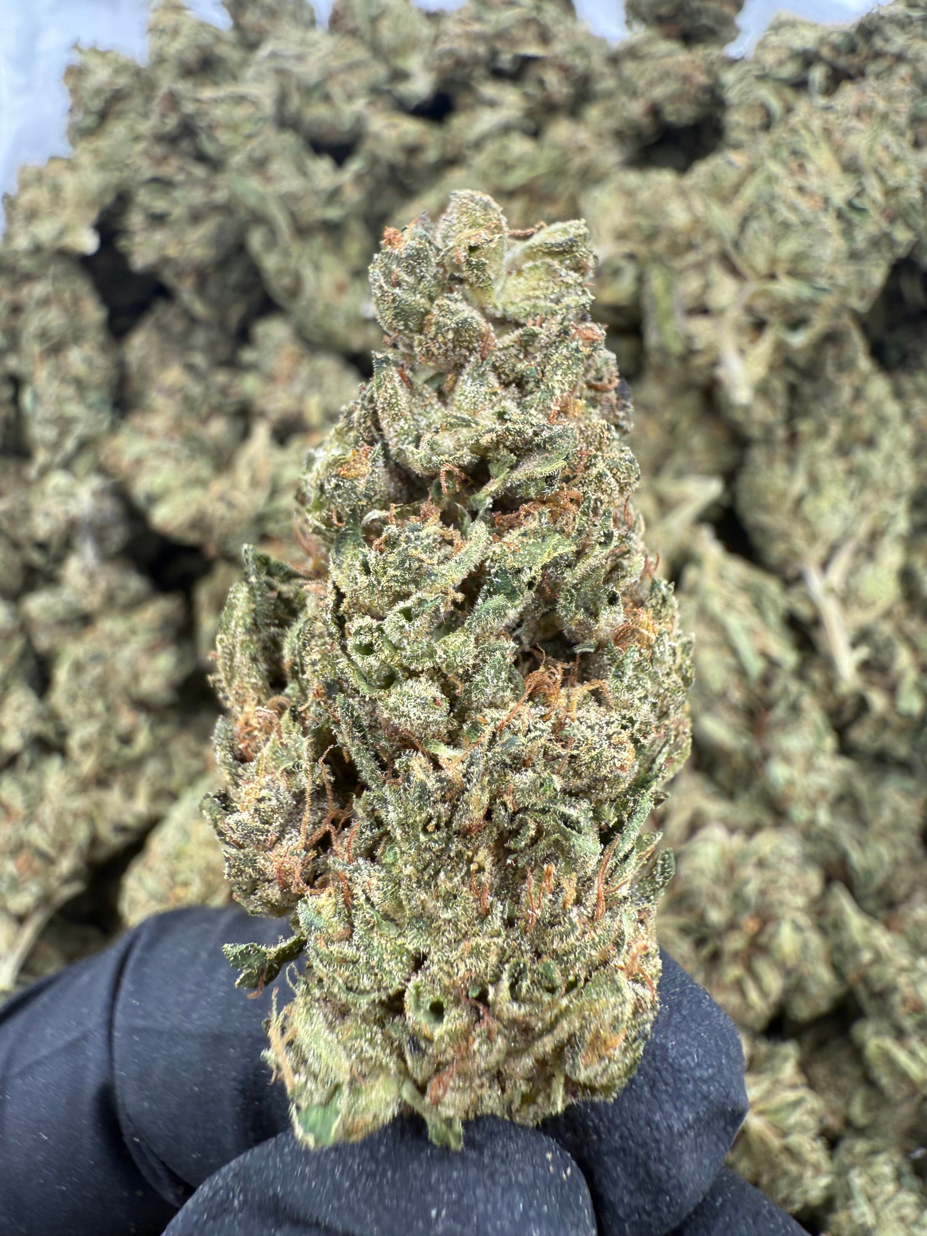 OG Kush Dep