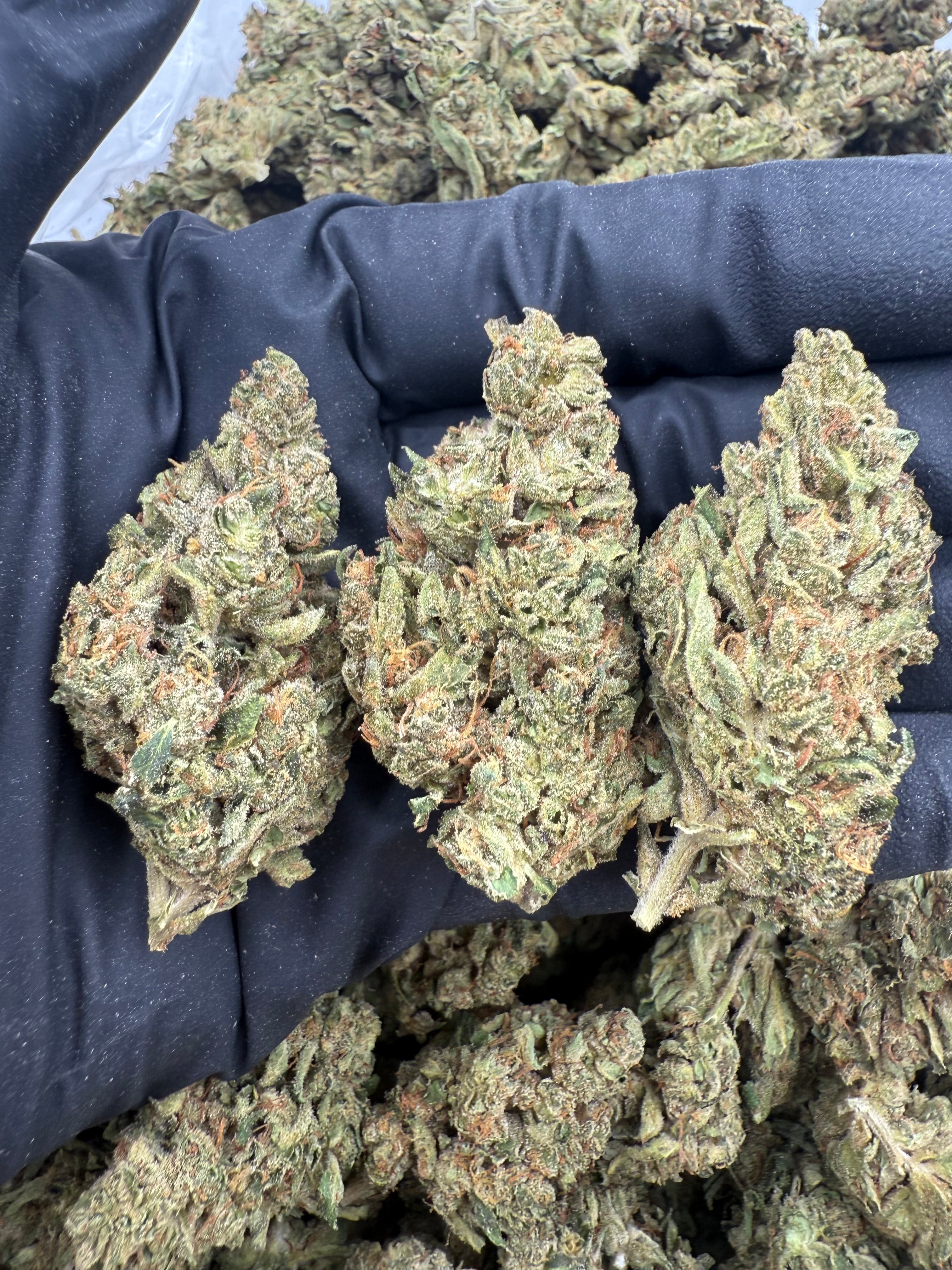 OG Kush Dep