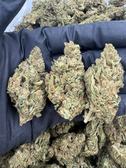 OG Kush Dep