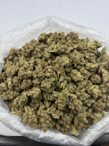 OG (MOTA)