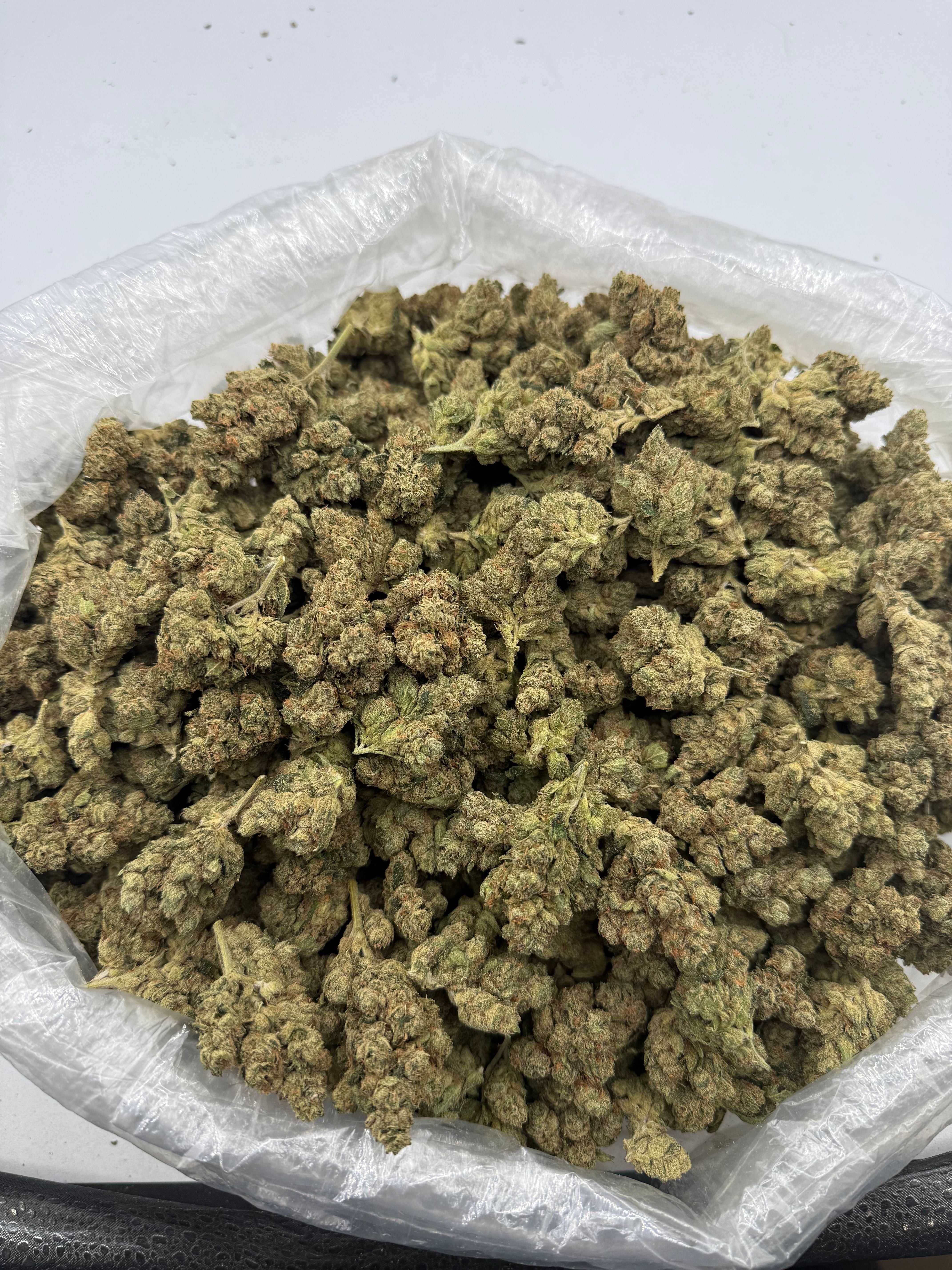 OG (MOTA)