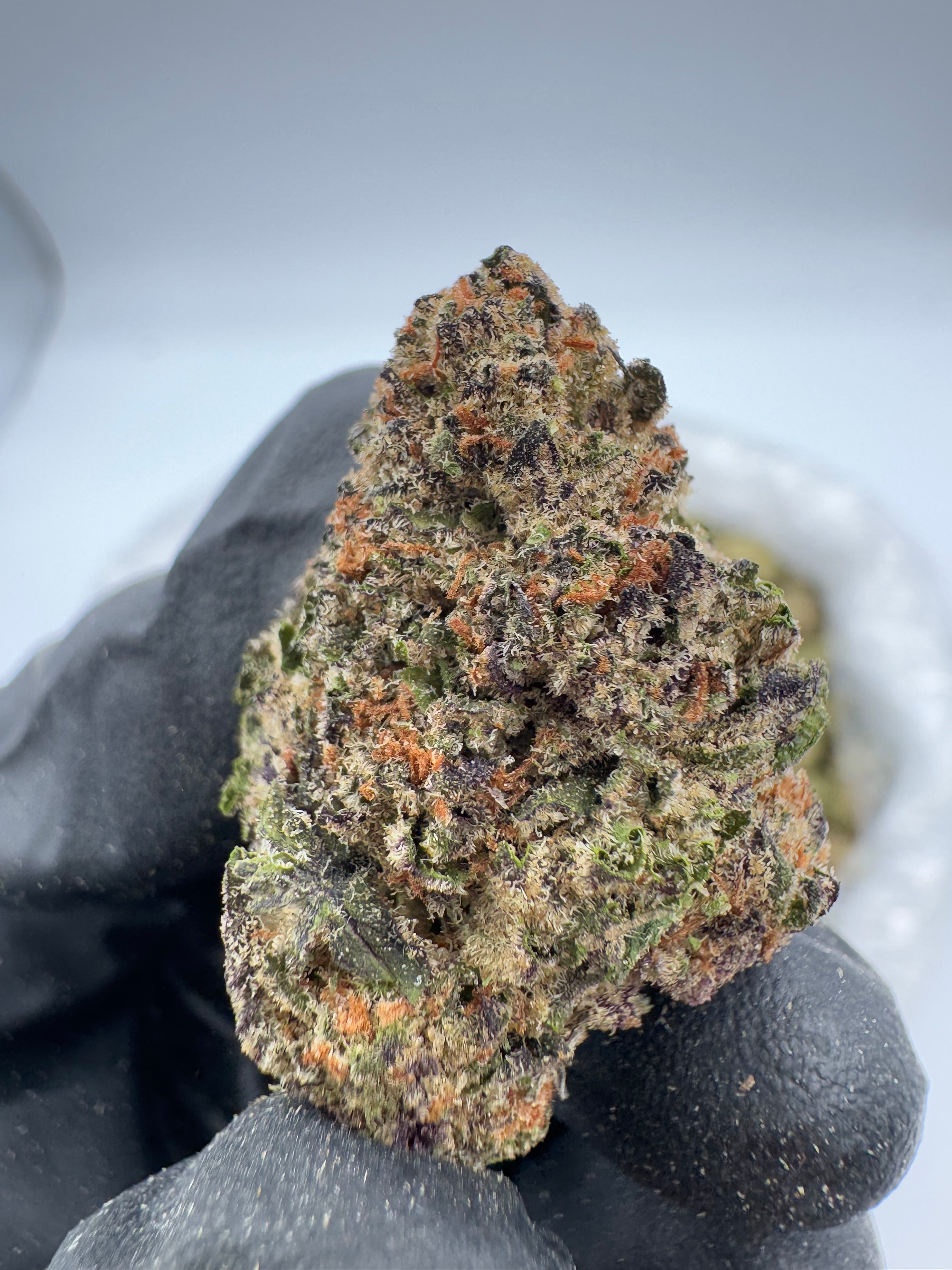 Pink Certz (High End)