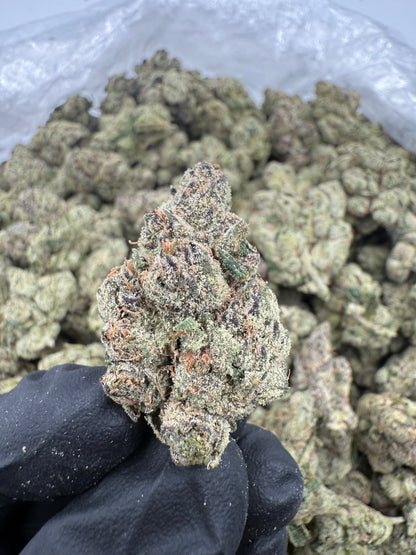 Pink Runtz (MOTA)