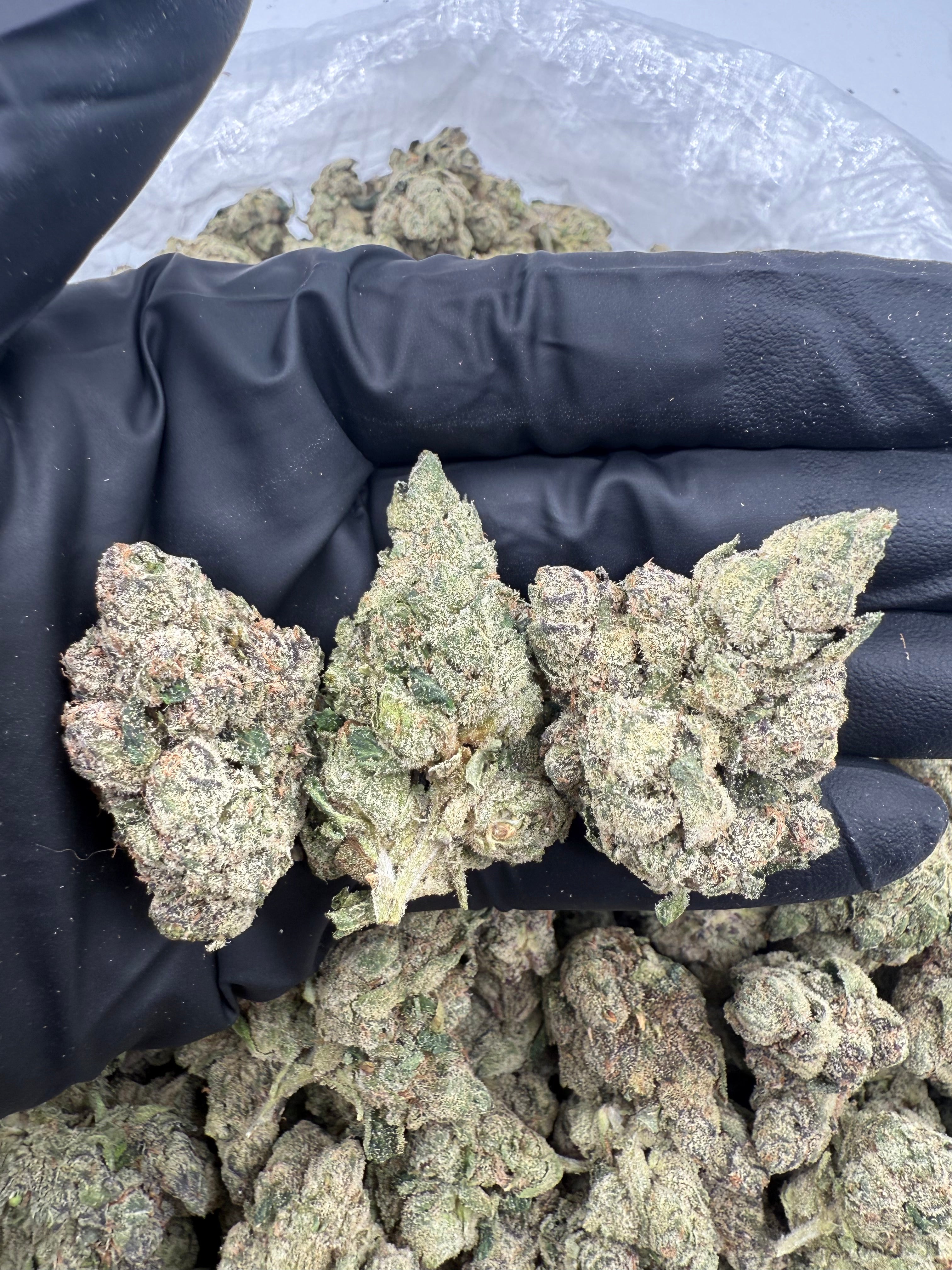 Pink Runtz (MOTA)