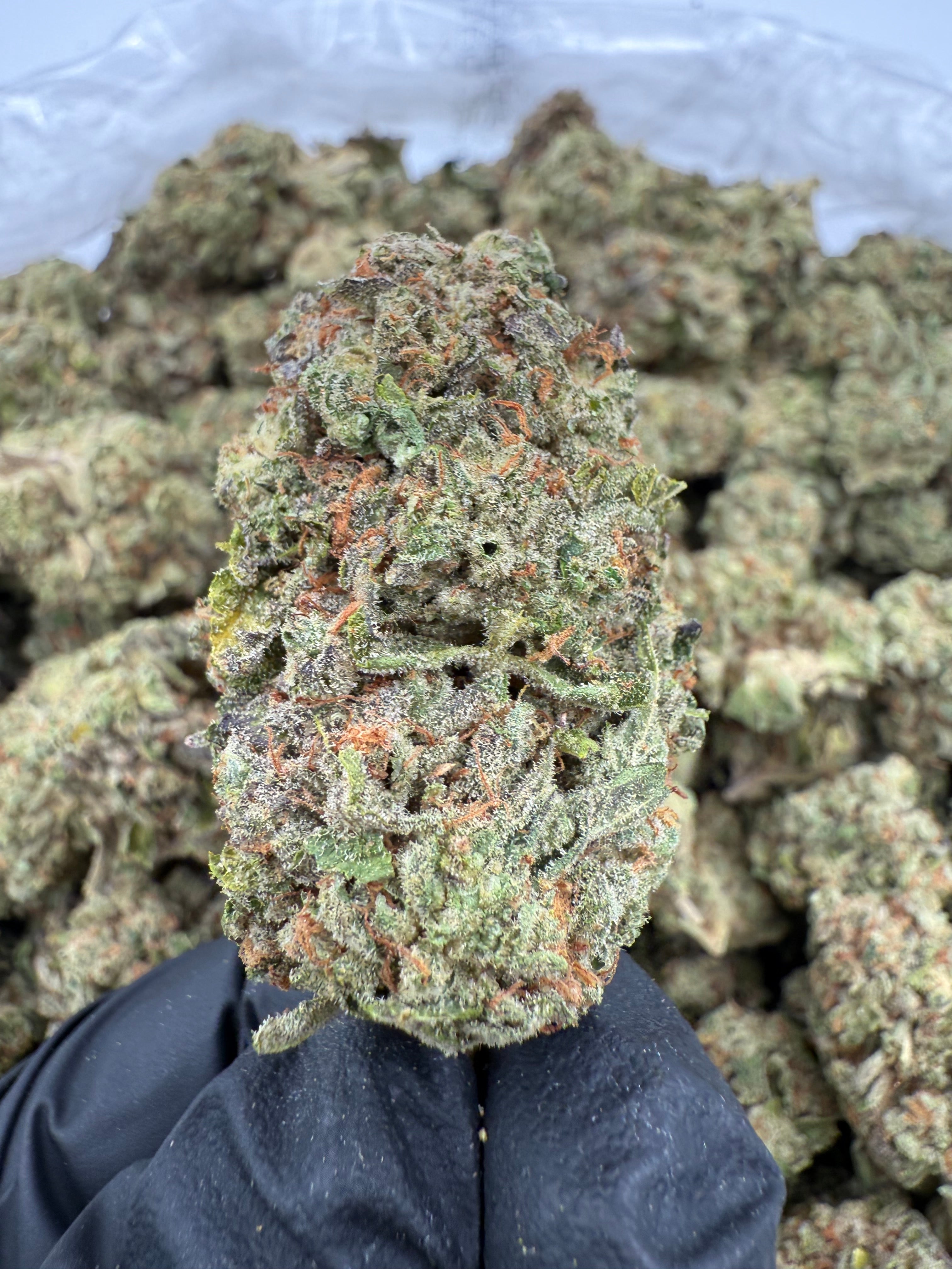 Powder Sugar