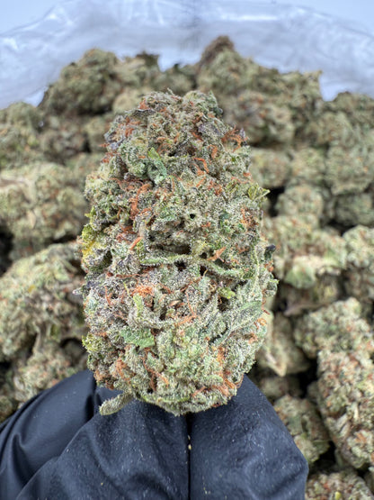 Powder Sugar