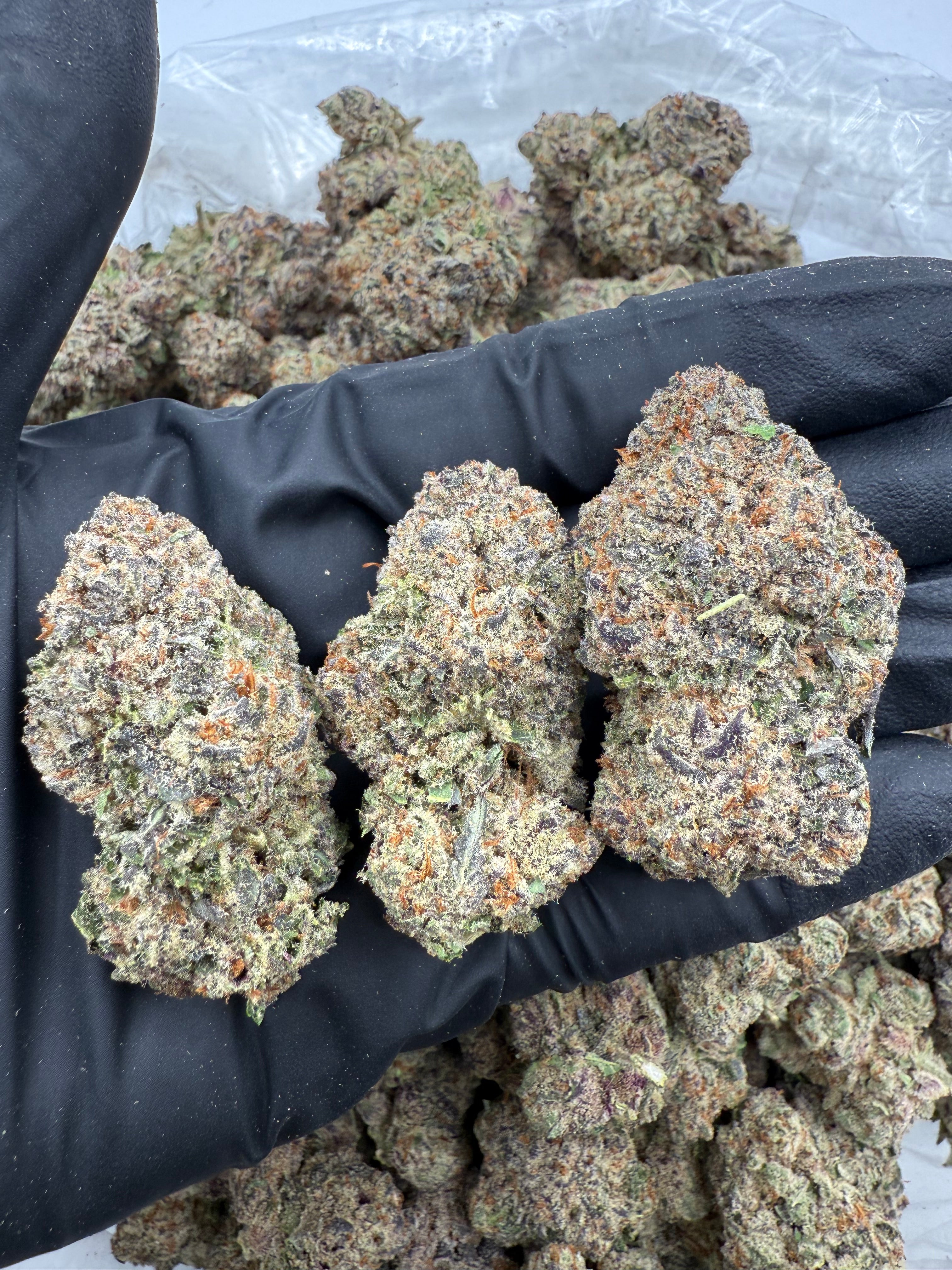 Powder Sugar