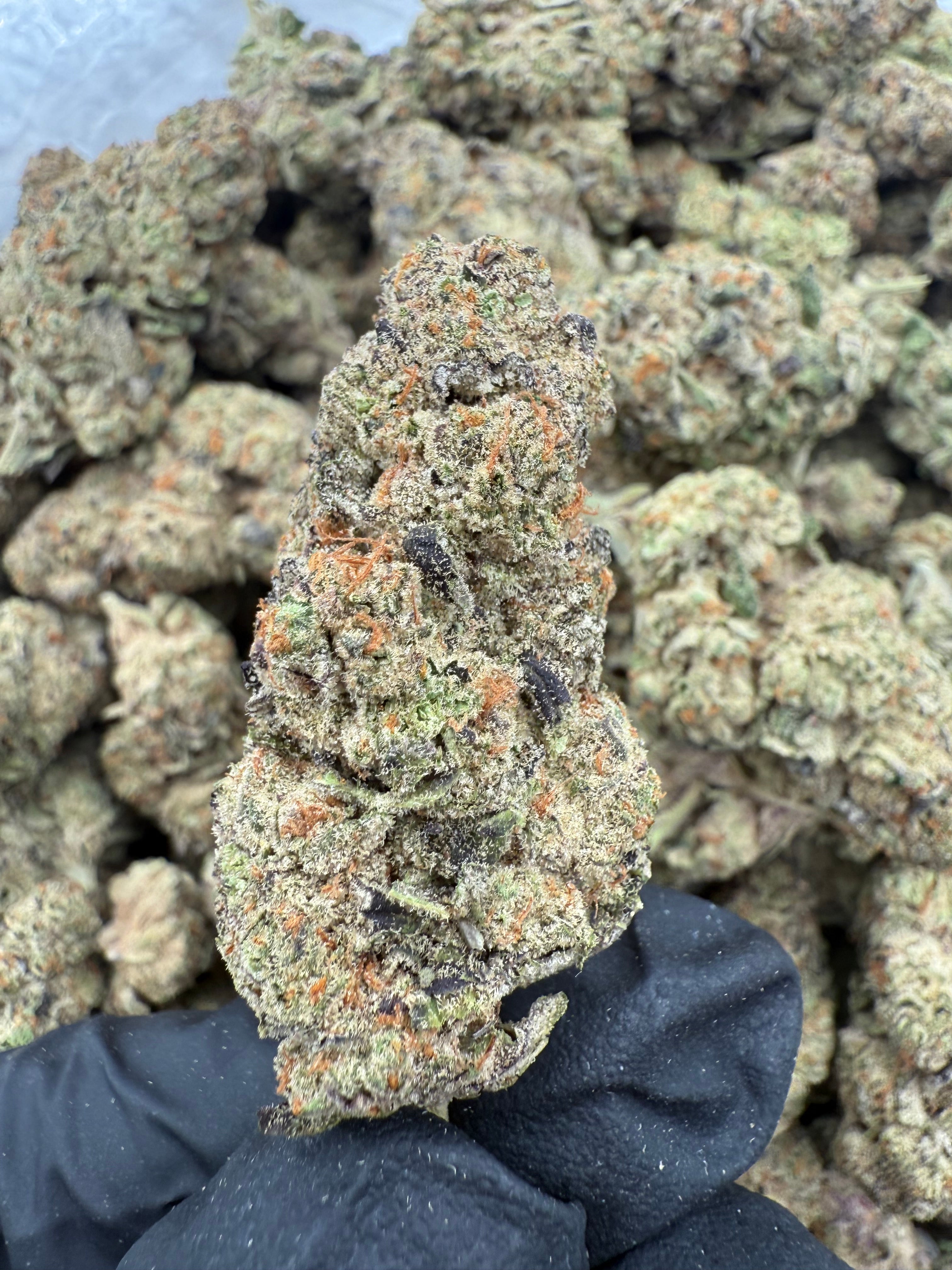 Purple Lemonade