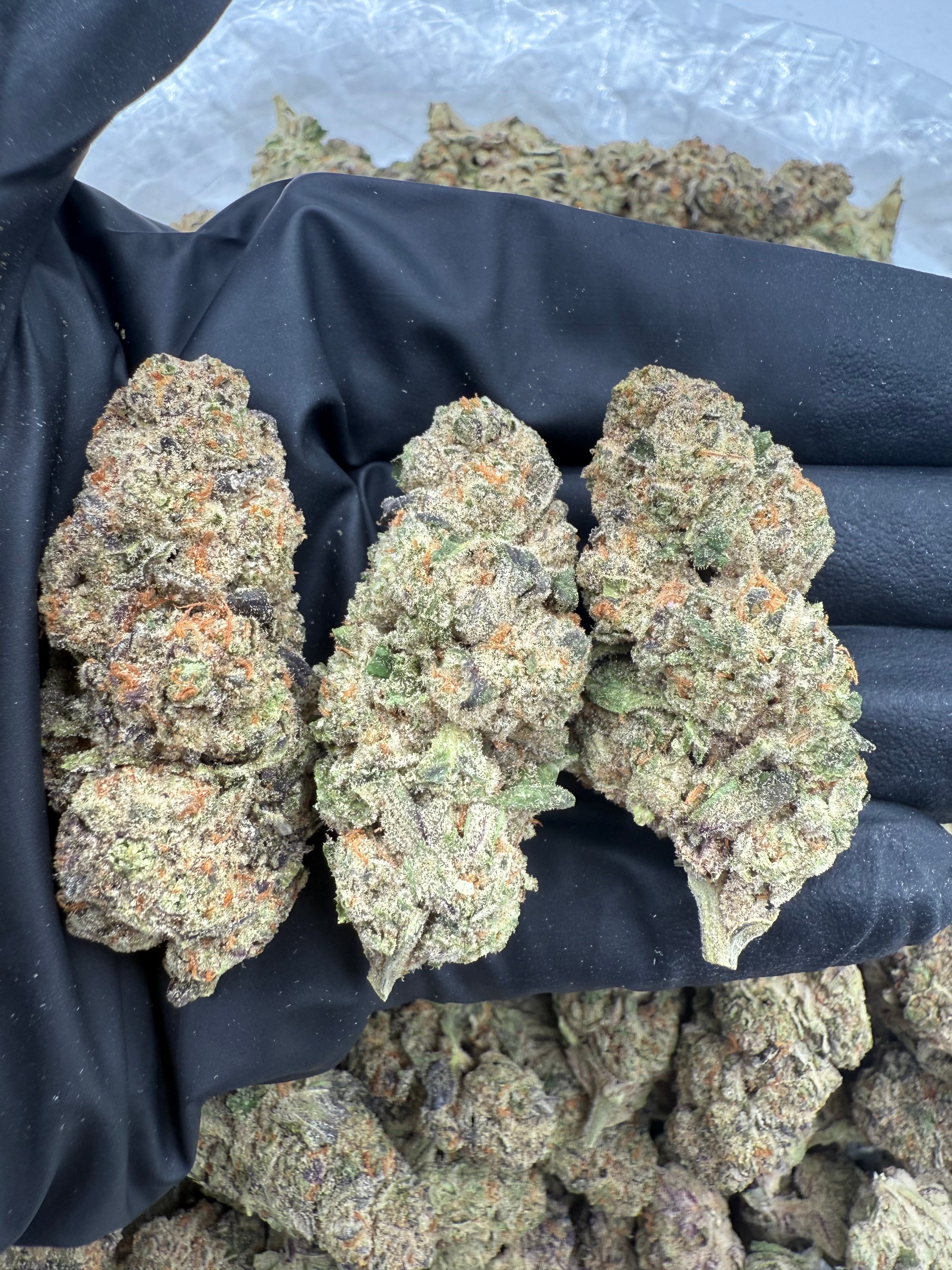 Purple Lemonade