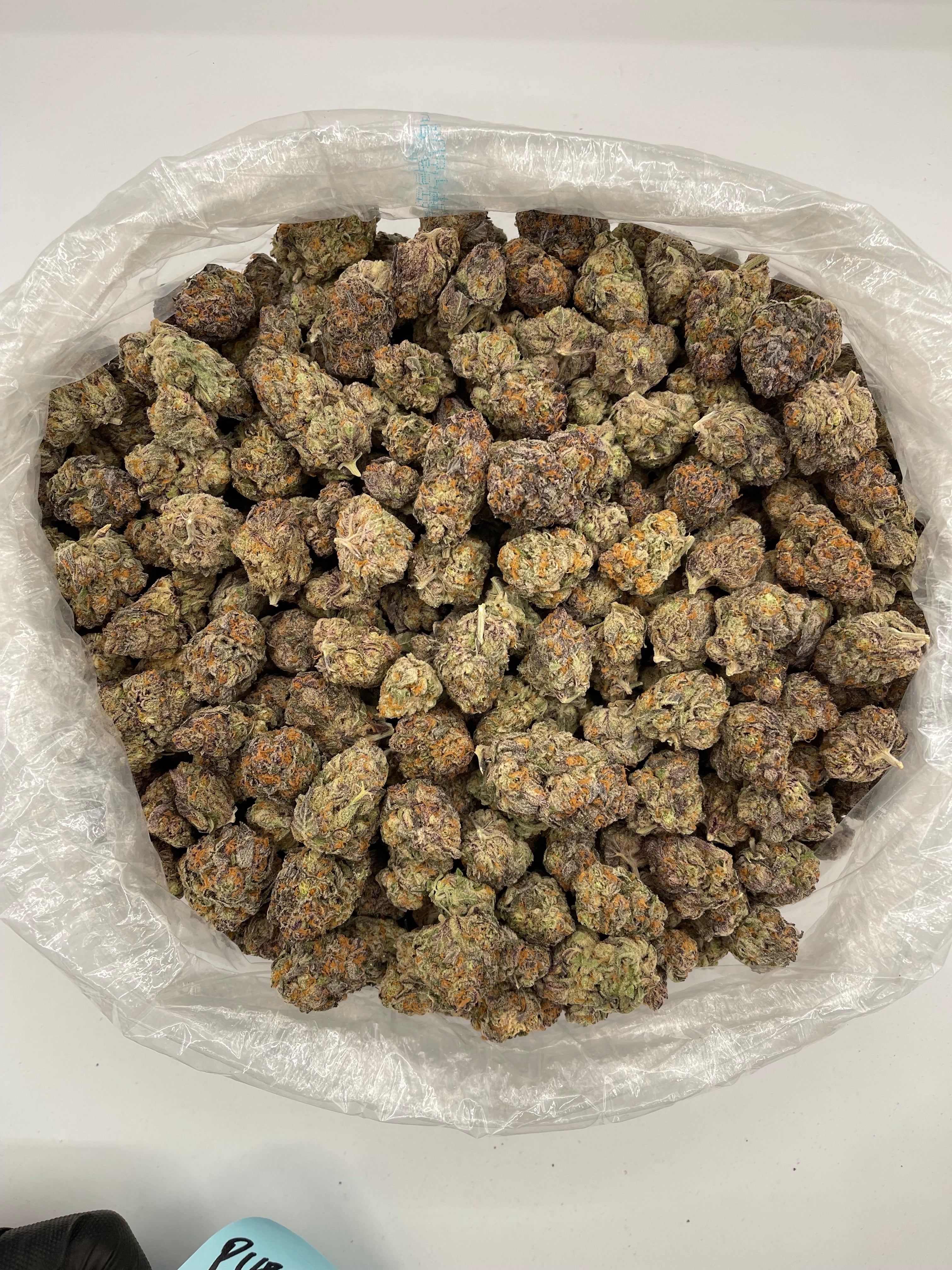Purple Pancake