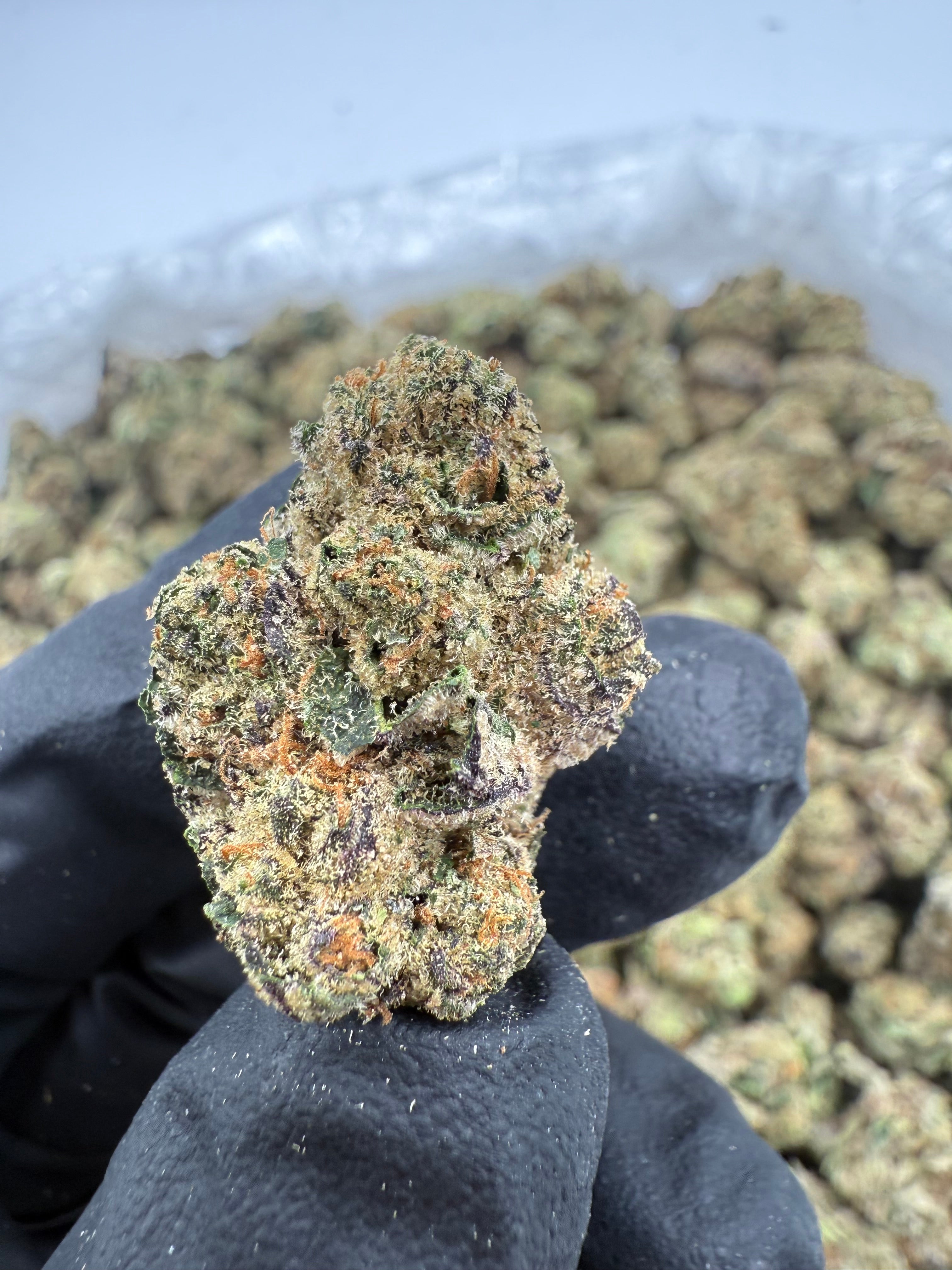 Purple Pineapple