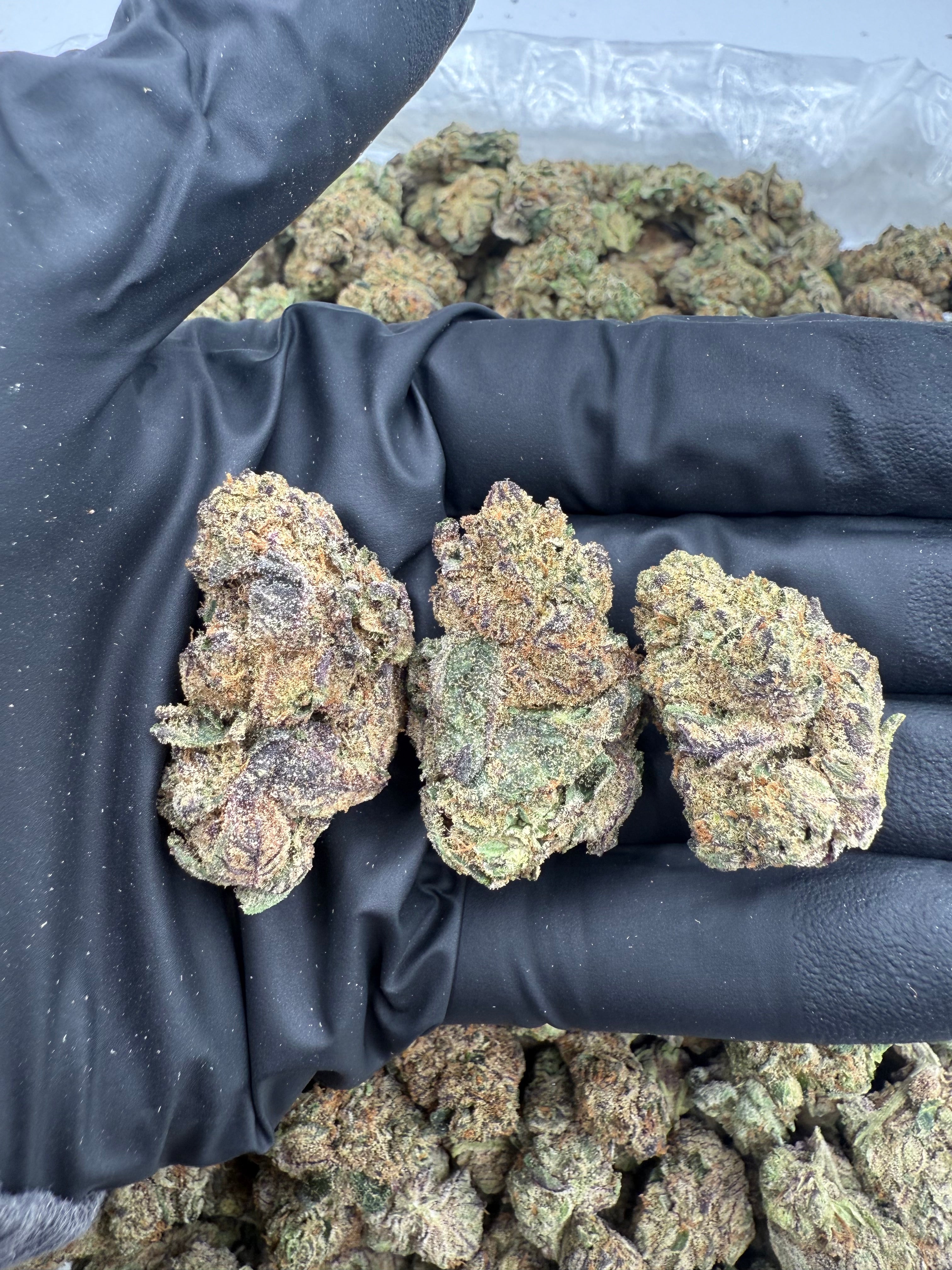 Purple Pineapple