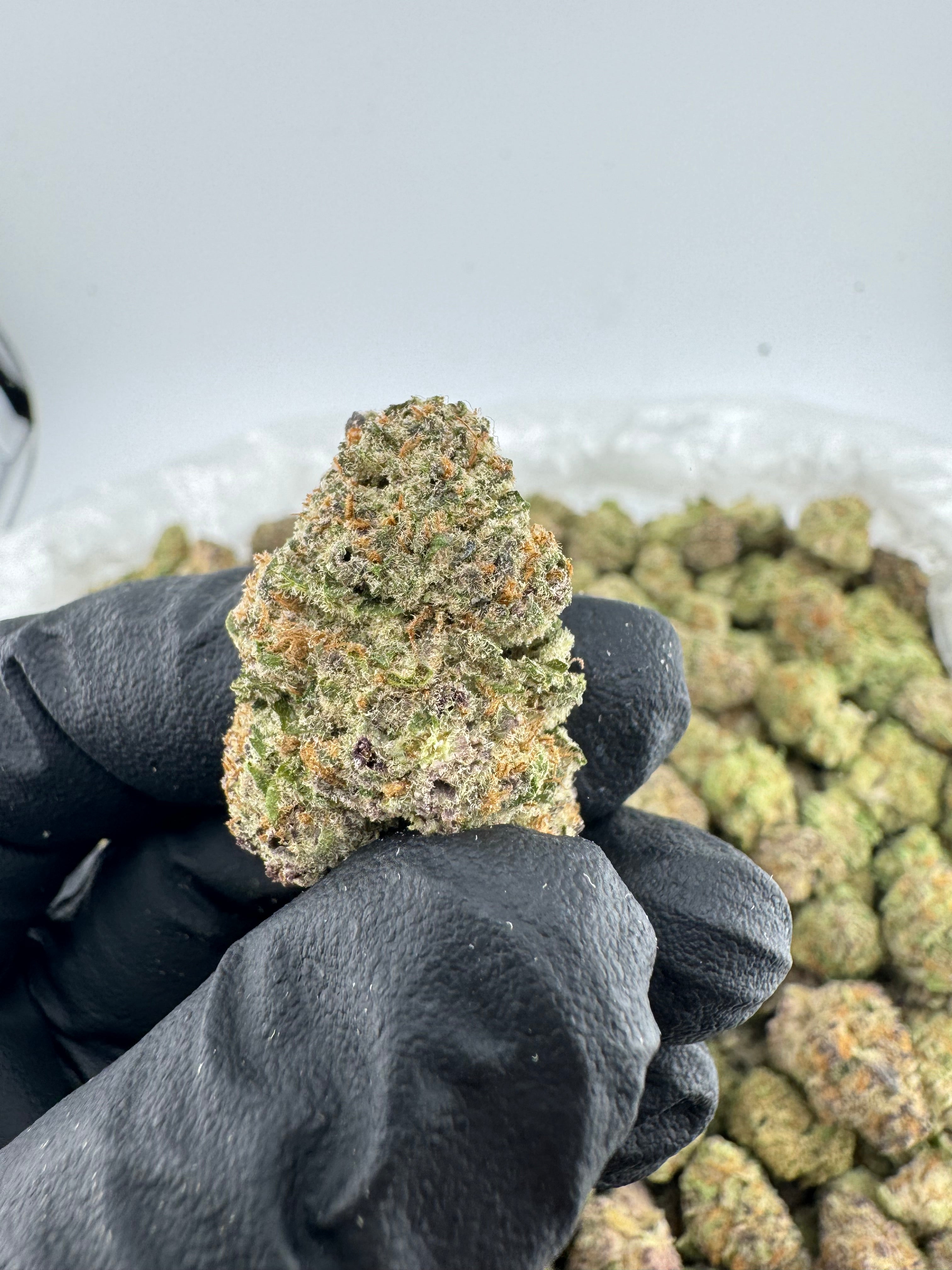 Purple Punch