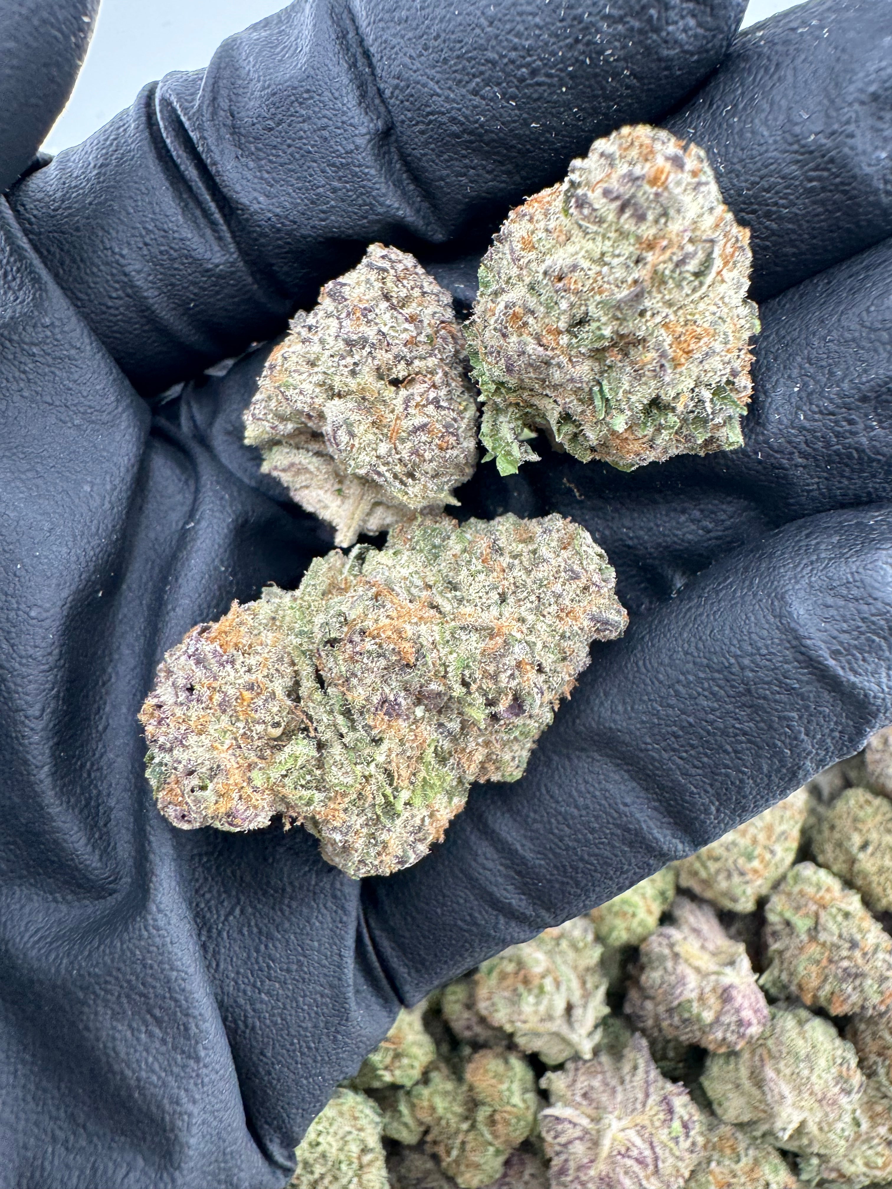 Purple Punch