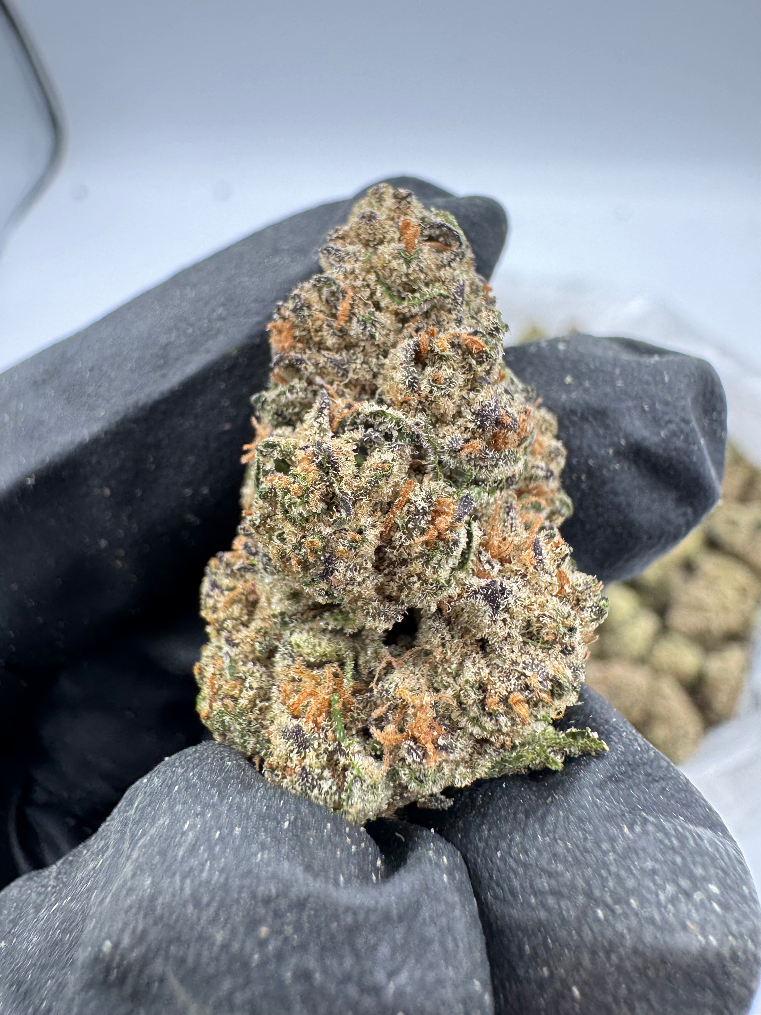 Silver Haze