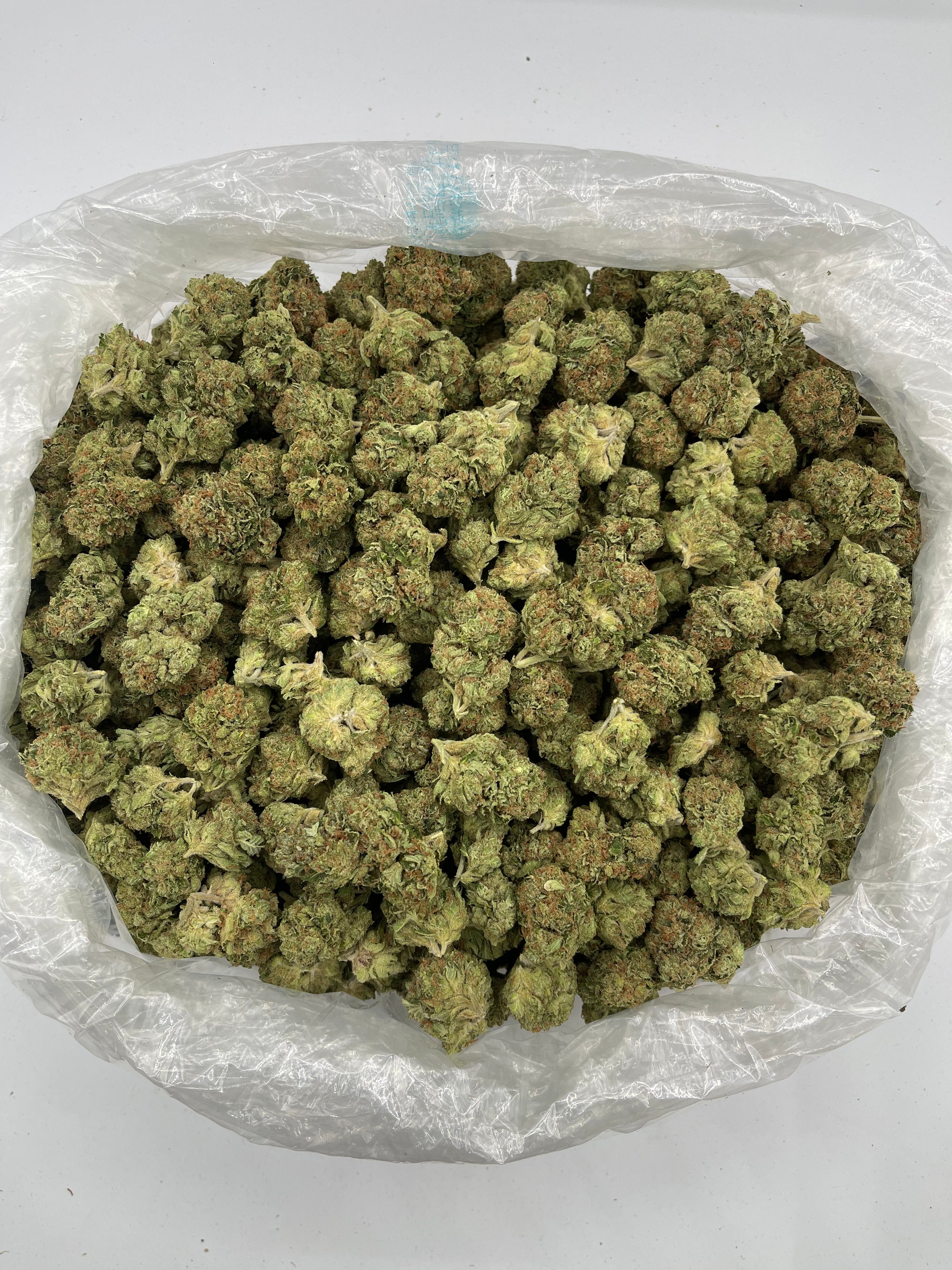 Sour Diesel (MVP)
