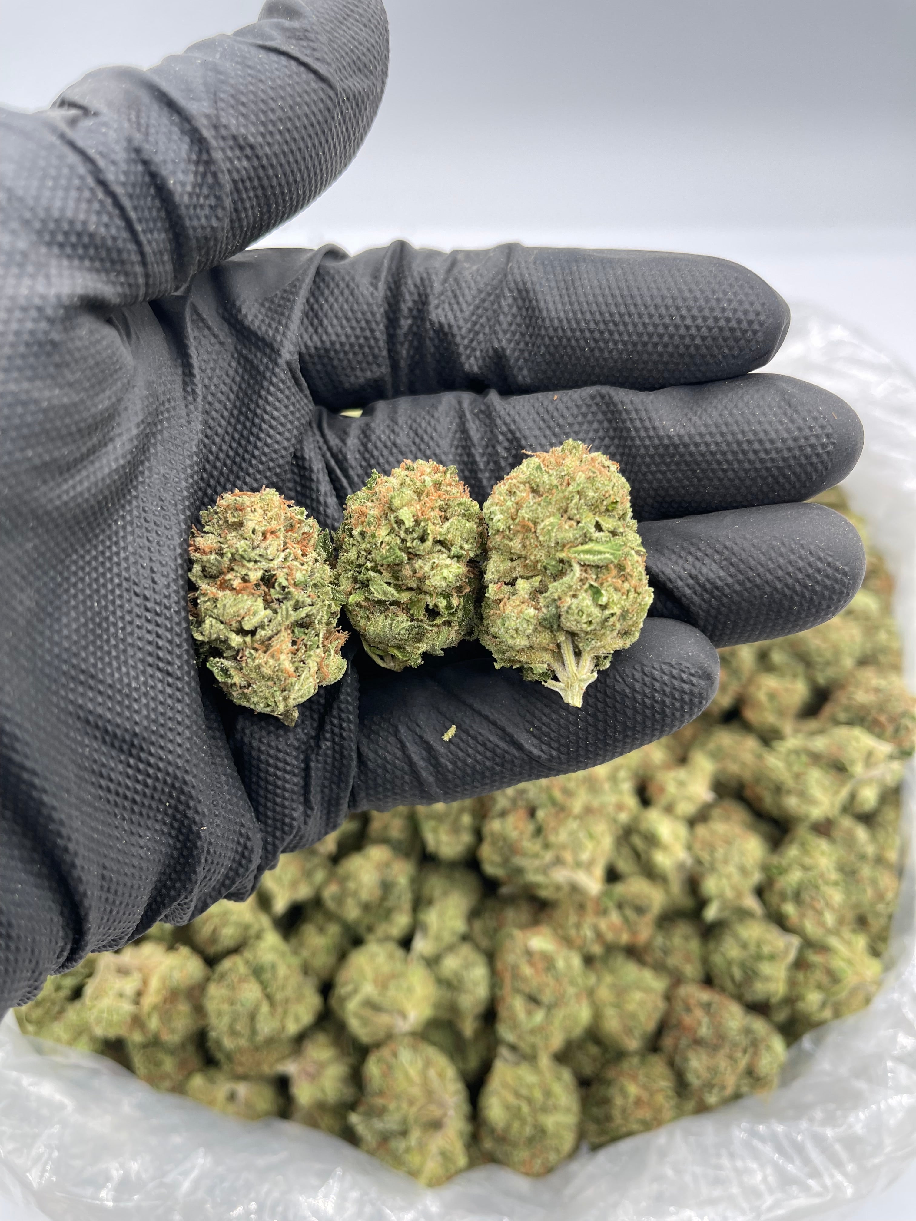 Sour Diesel (MVP)