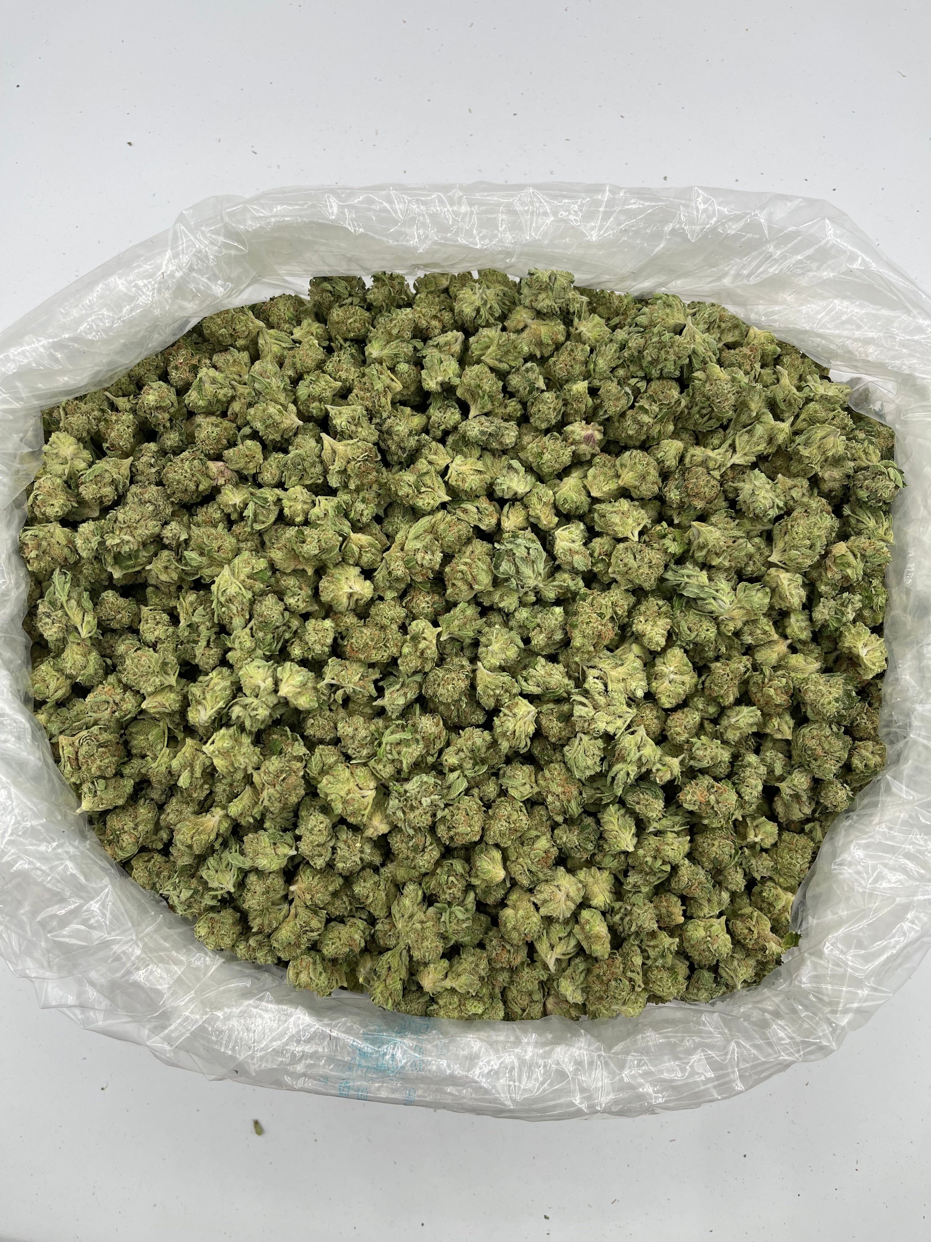 Sour Diesel (MVP) Smalls
