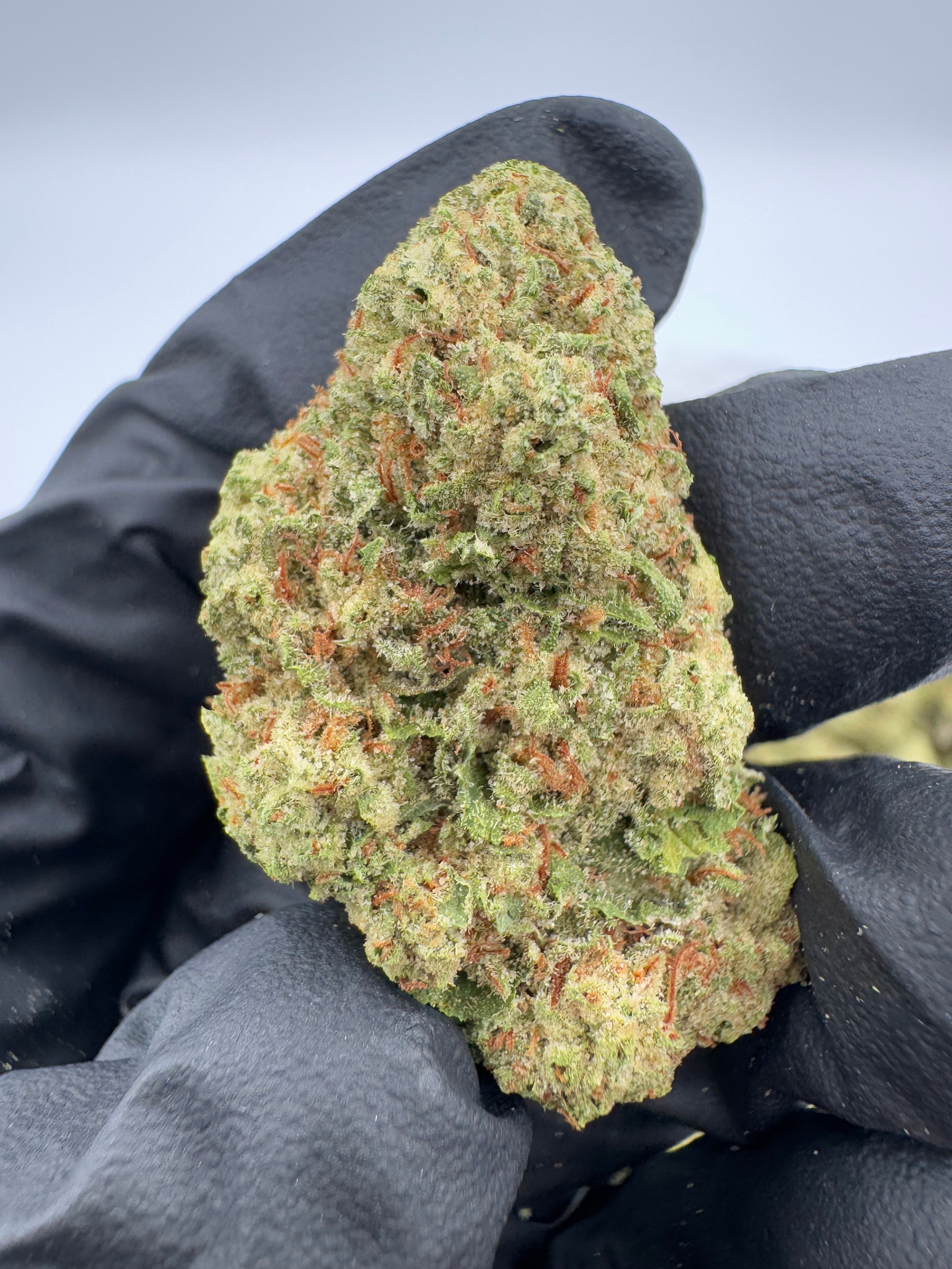 Sour Guava