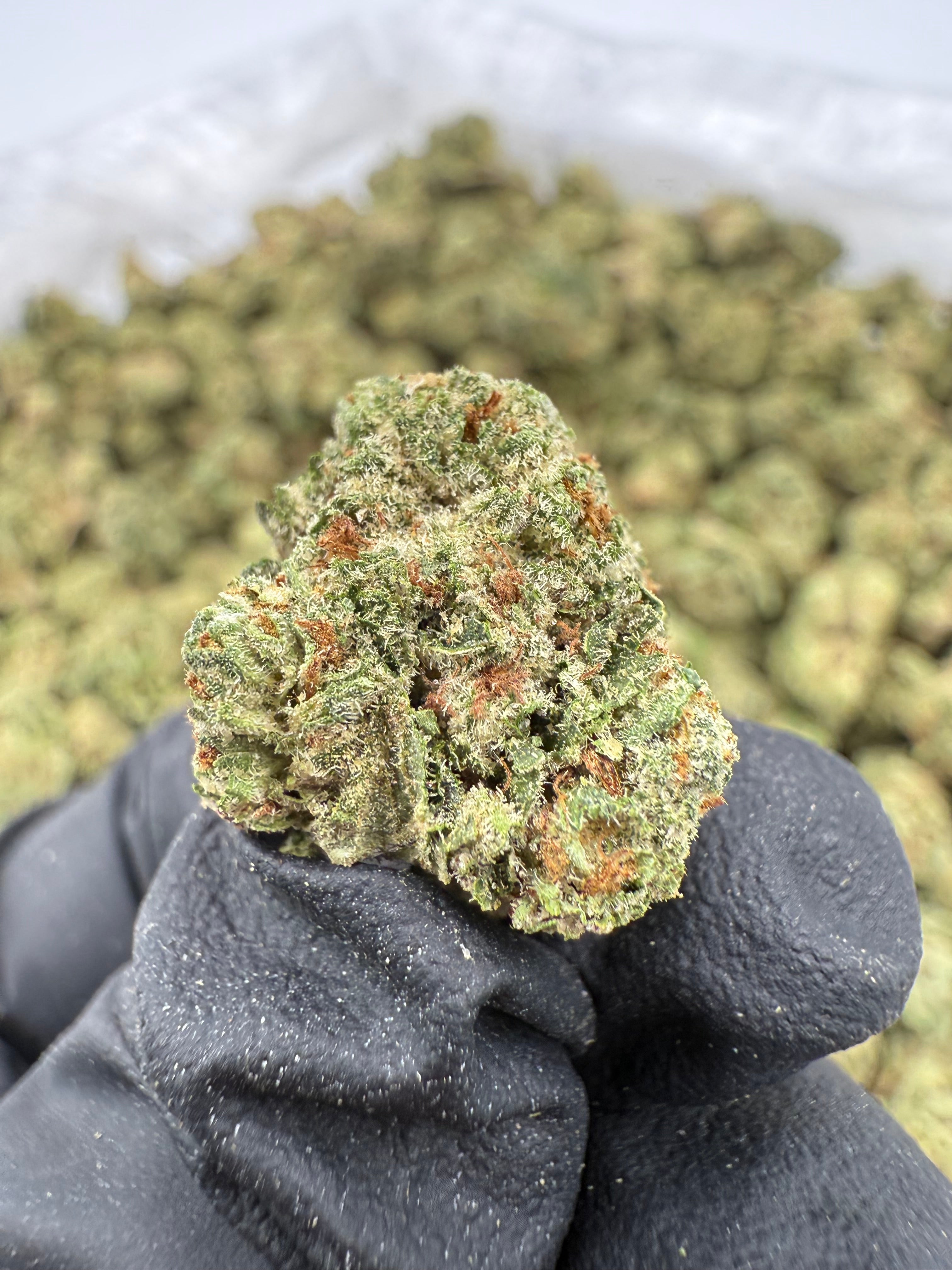 Sour Guava Smalls