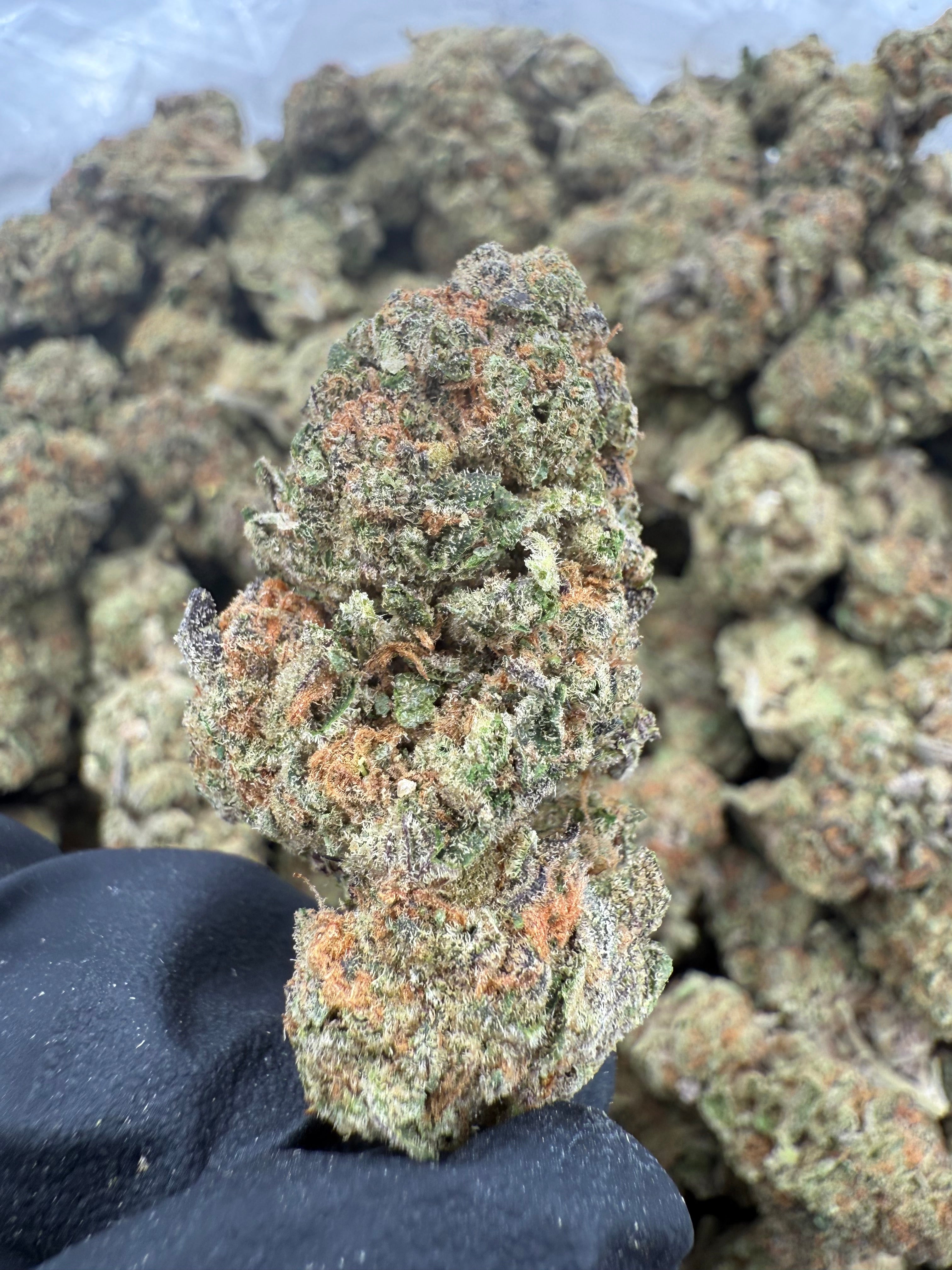 Sour Joker