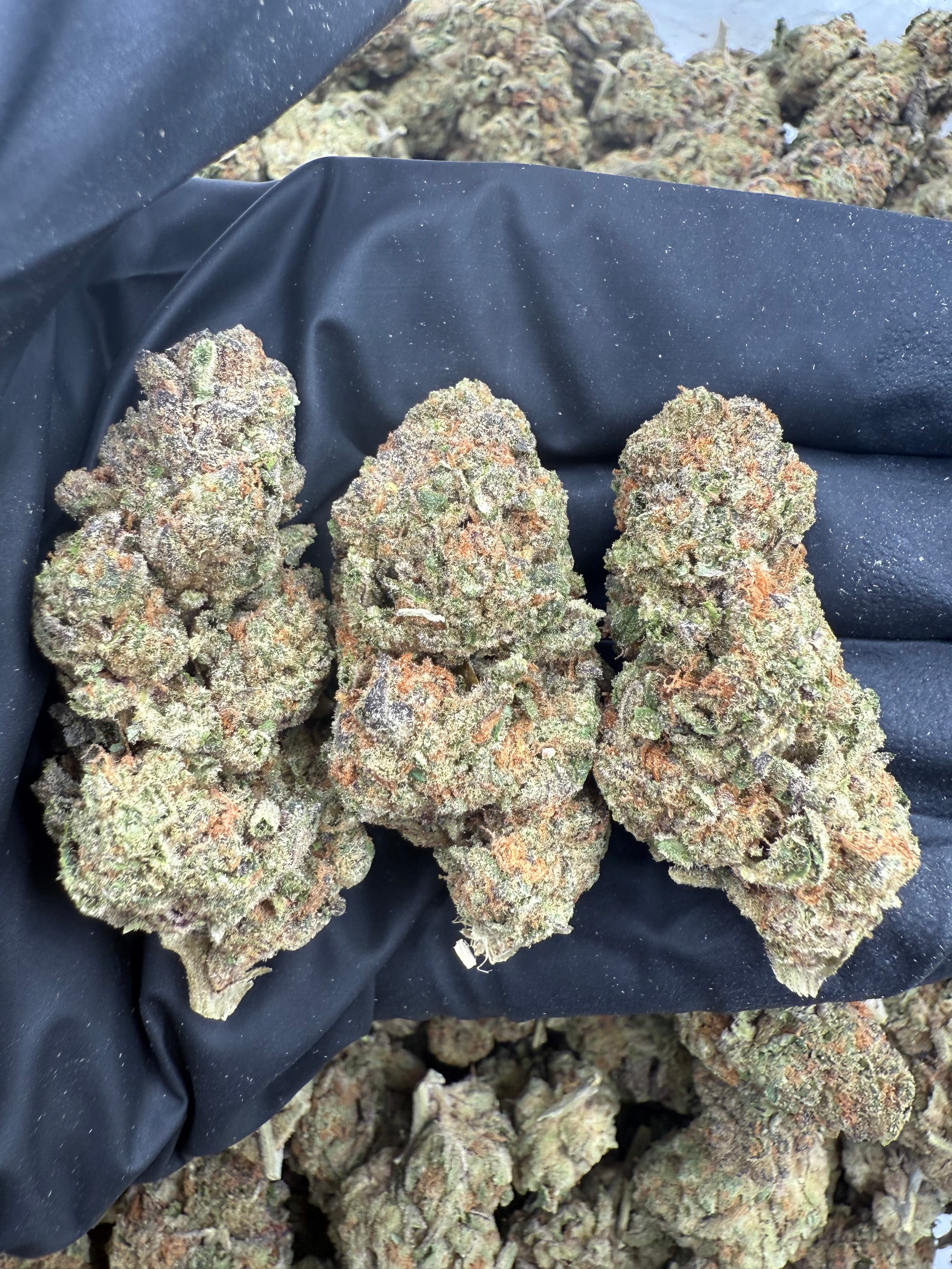 Sour Joker