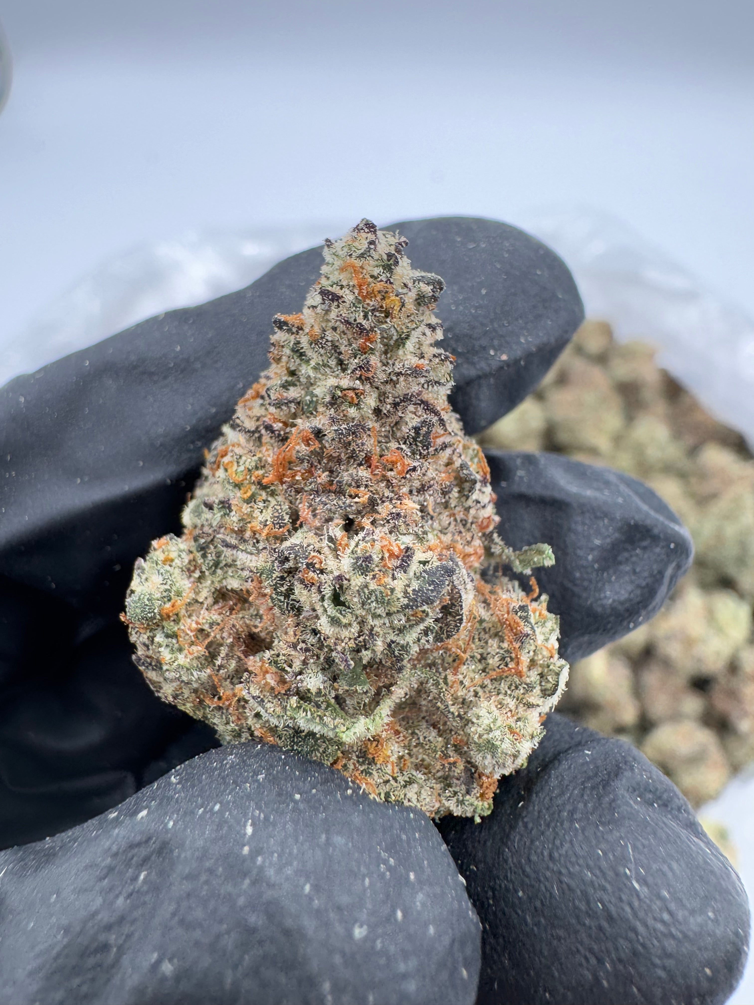 Strawberry Cheesecake