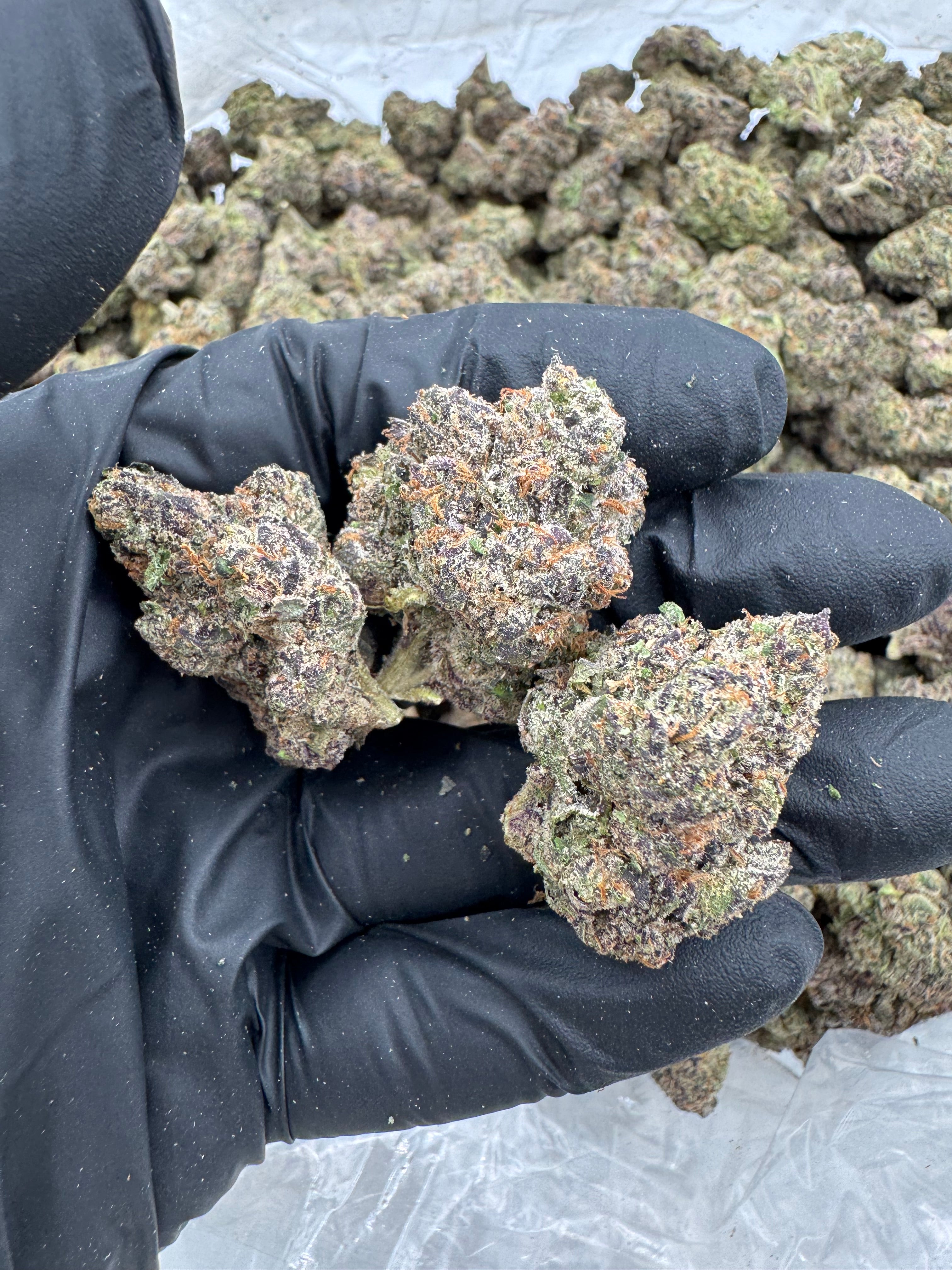 Strawberry Fritter
