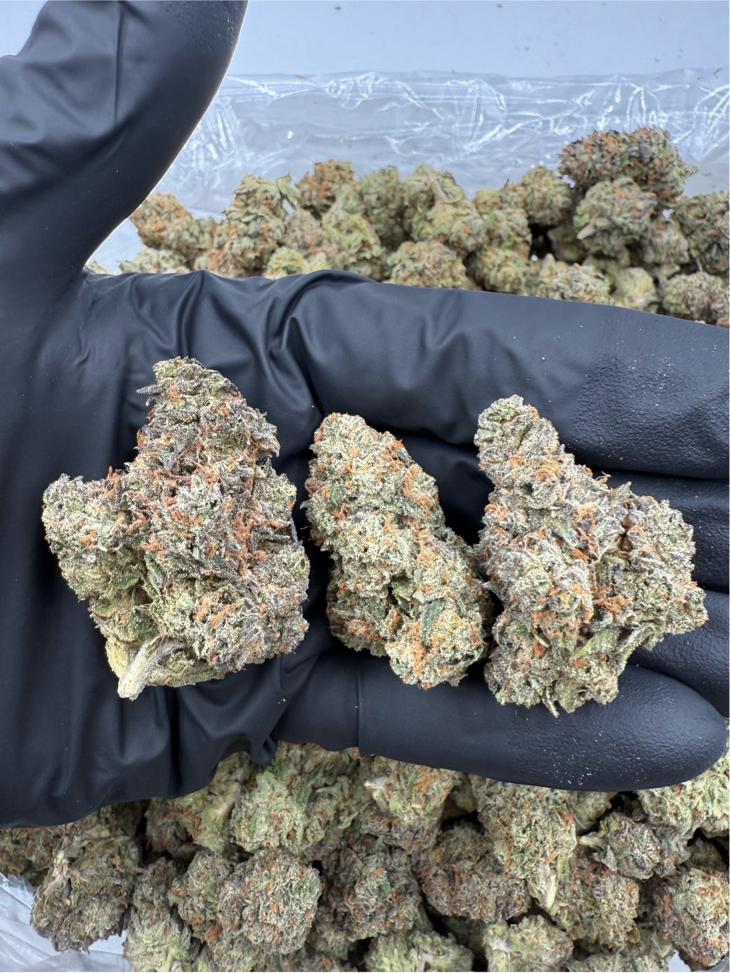 Strawberry Haze
