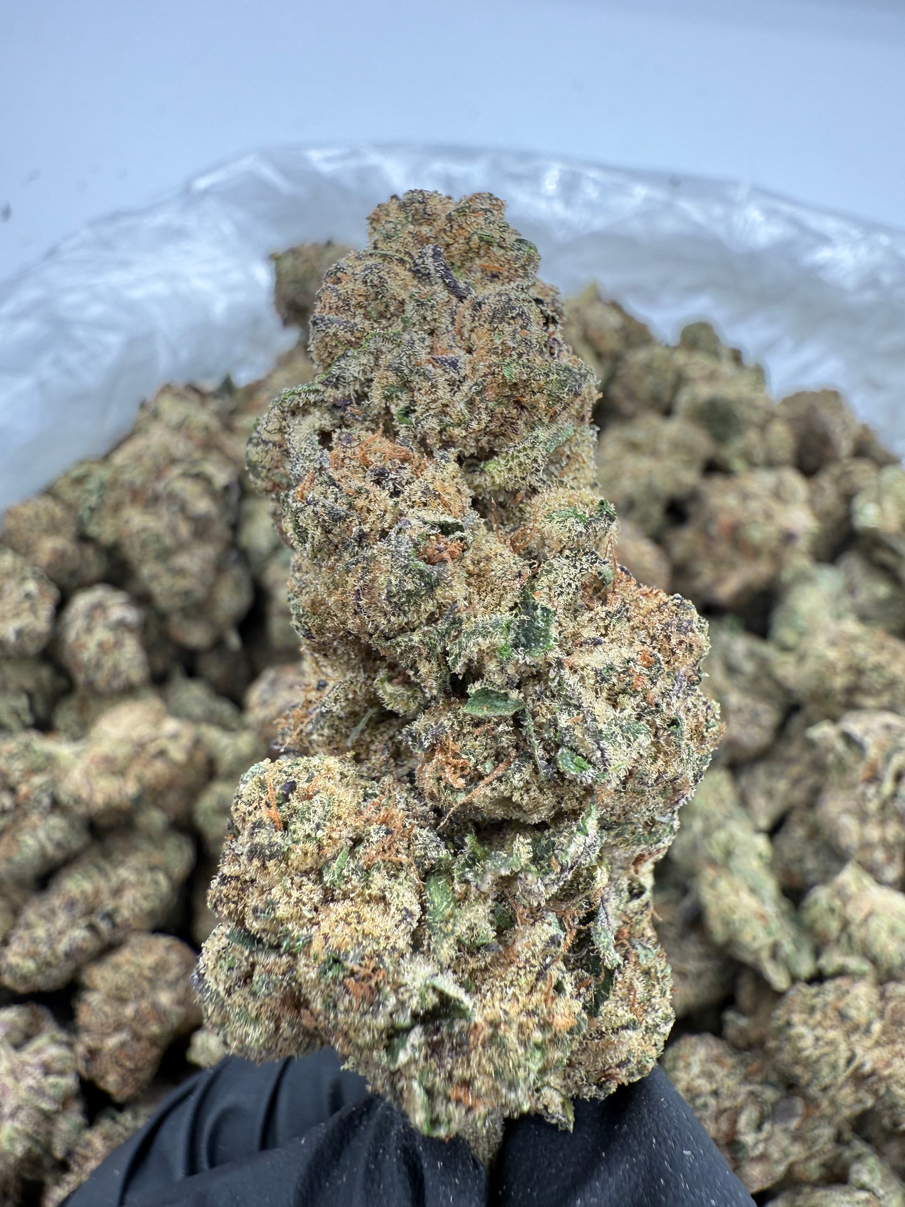 Super Future Haze