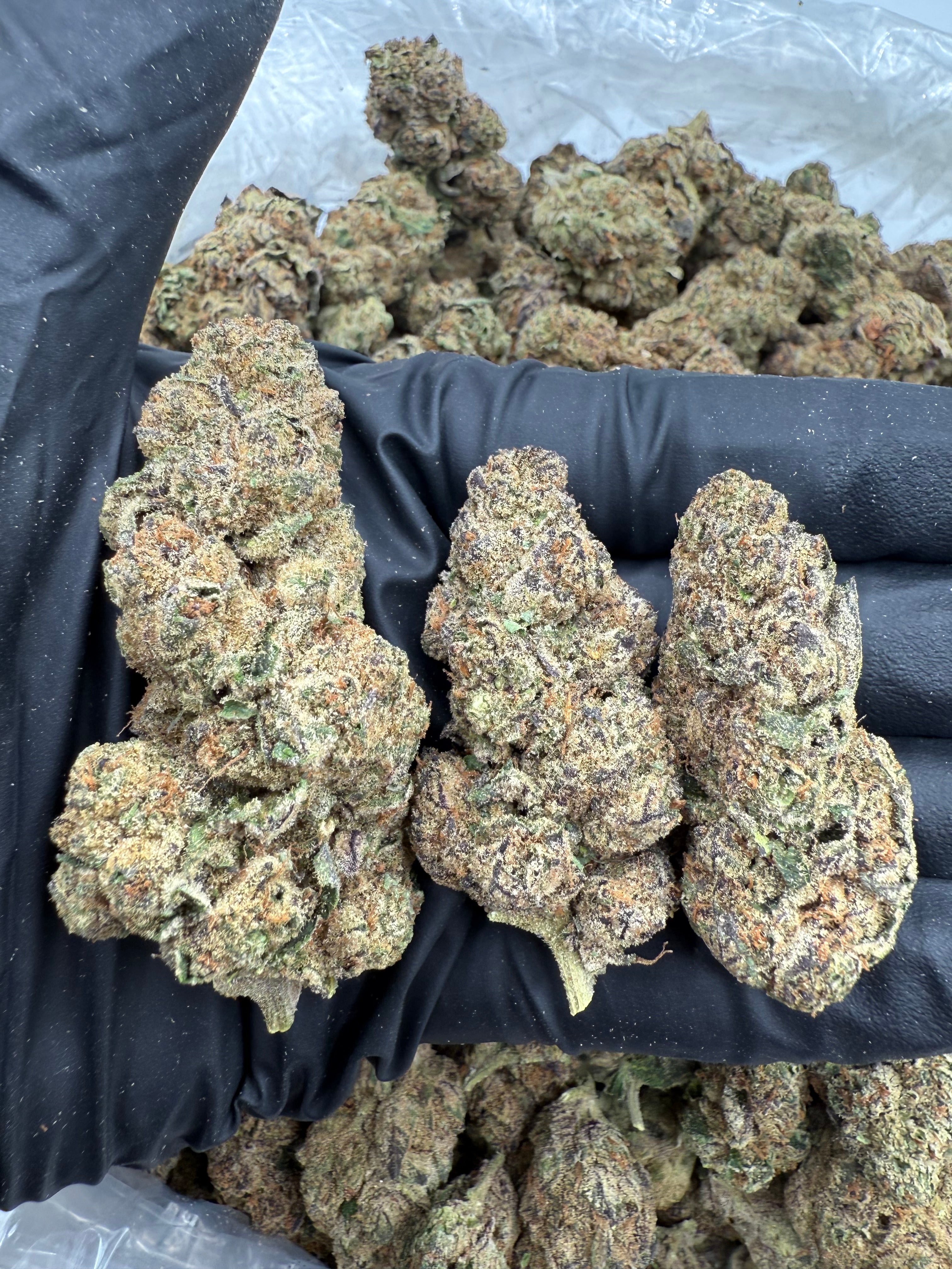 Super Future Haze