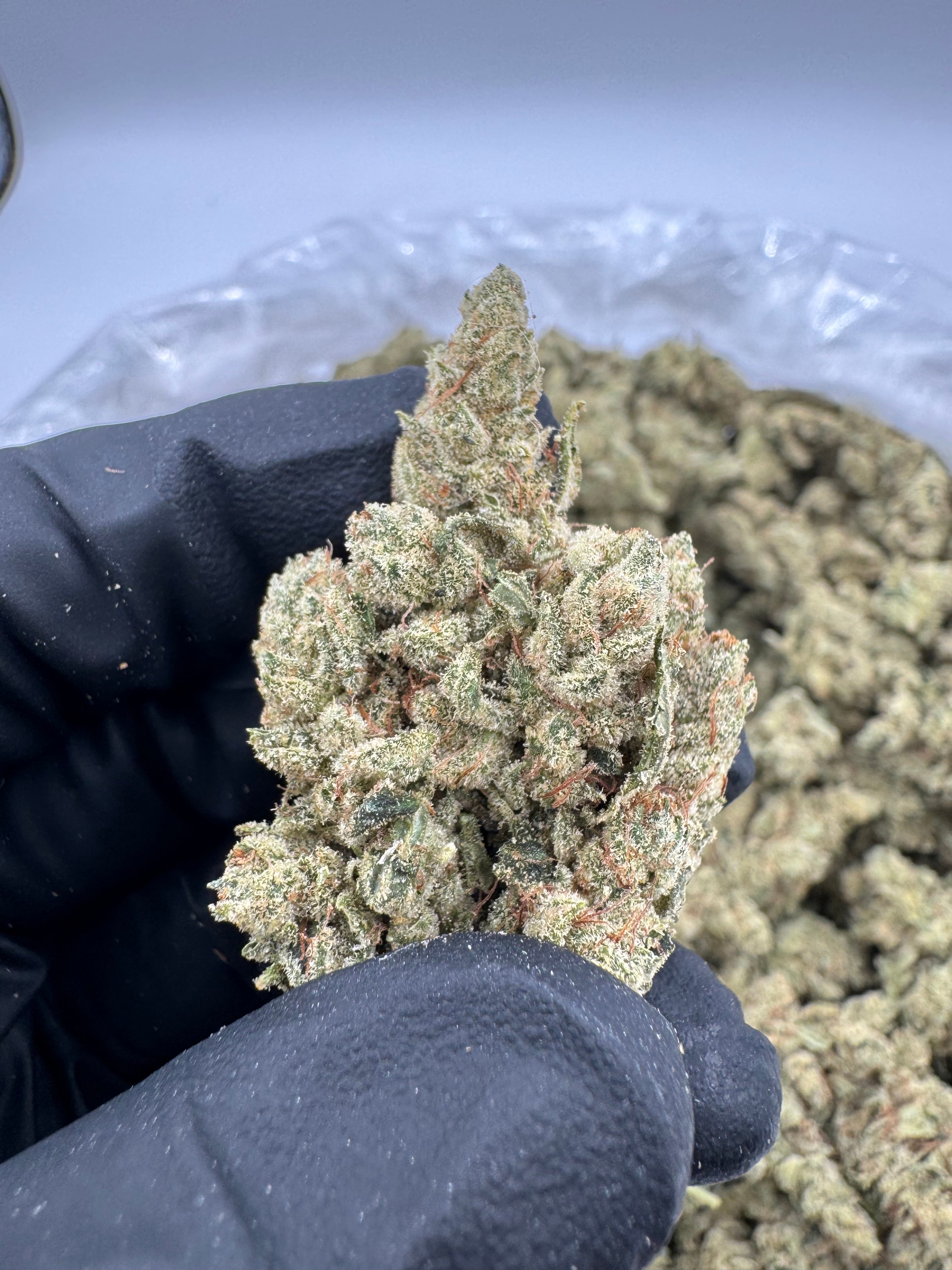 Super Glue