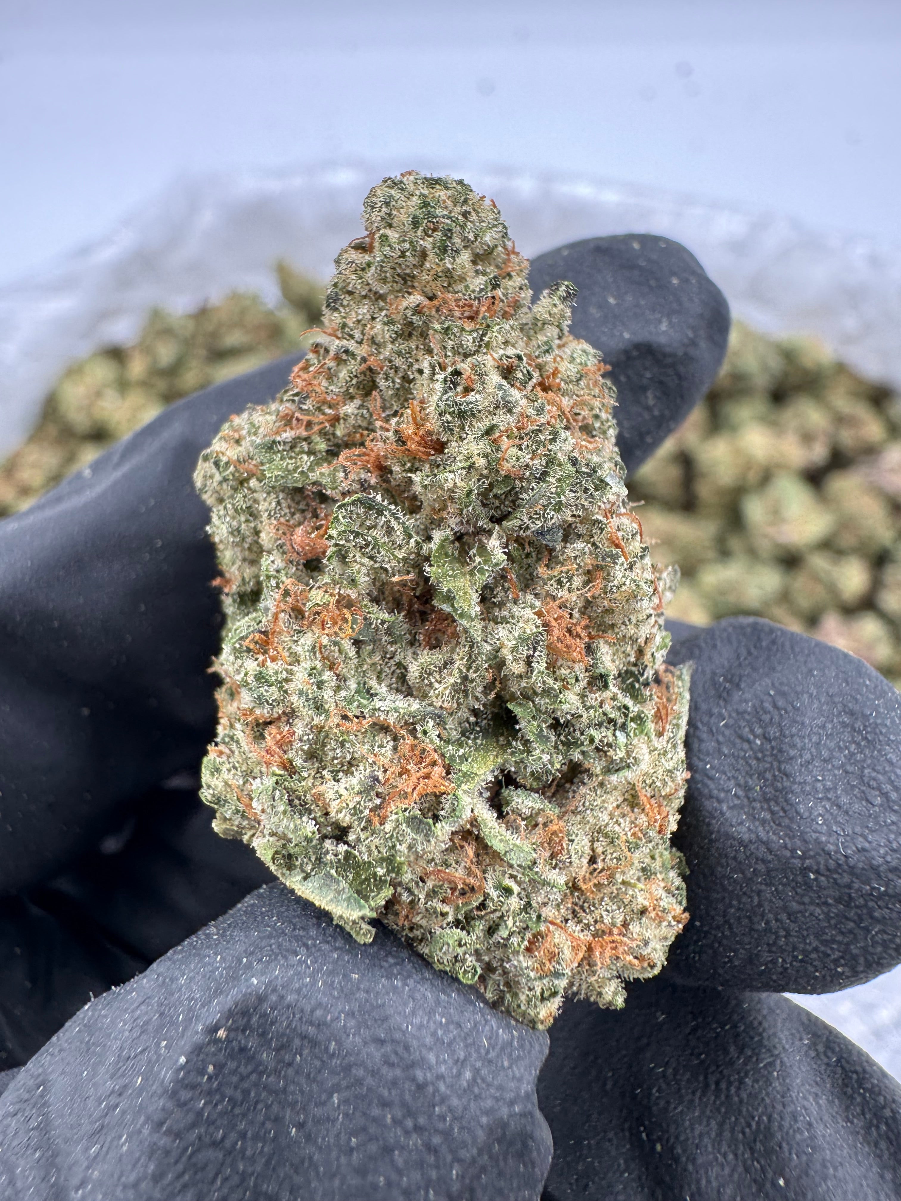 Sweet Tartz