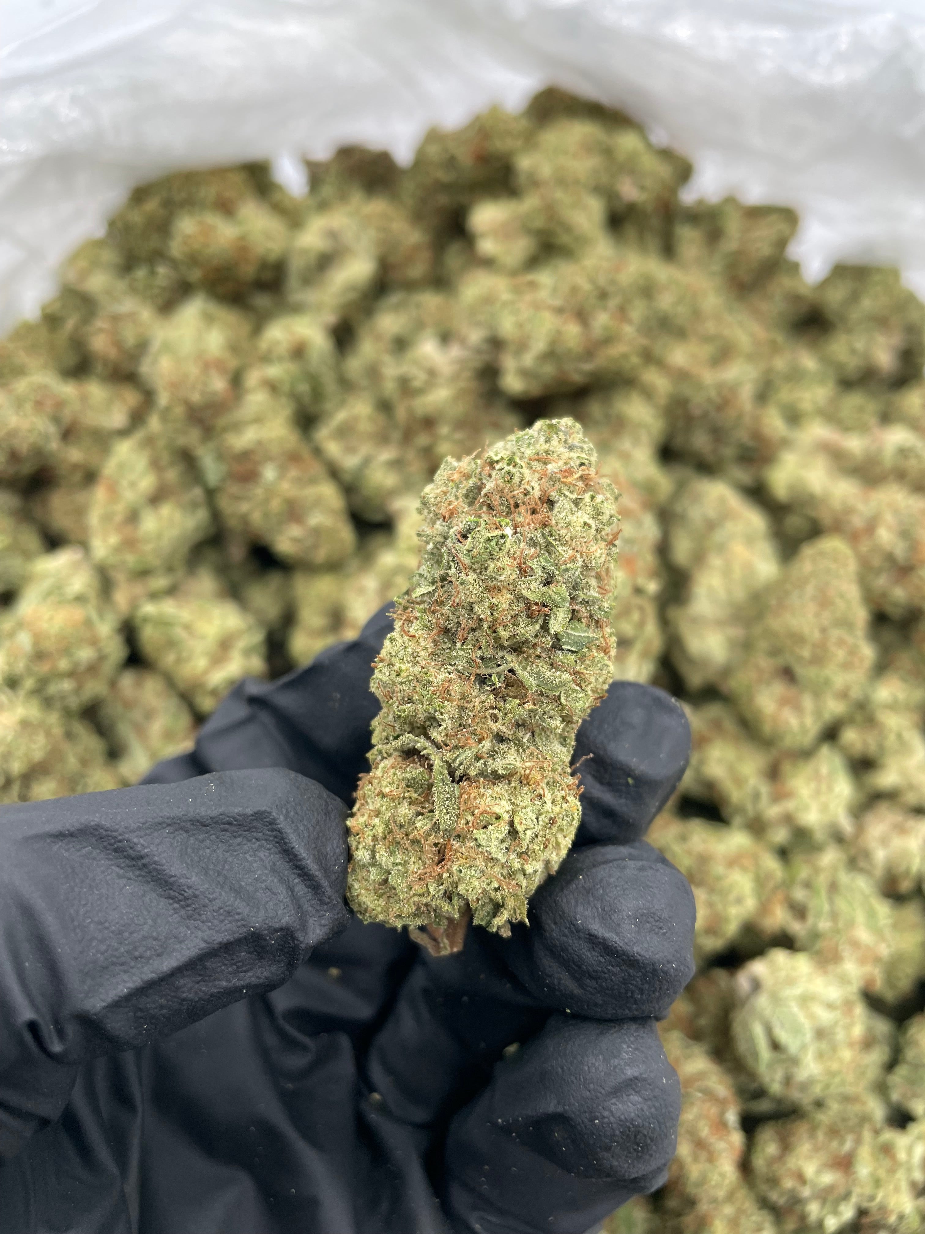 Thin Mint