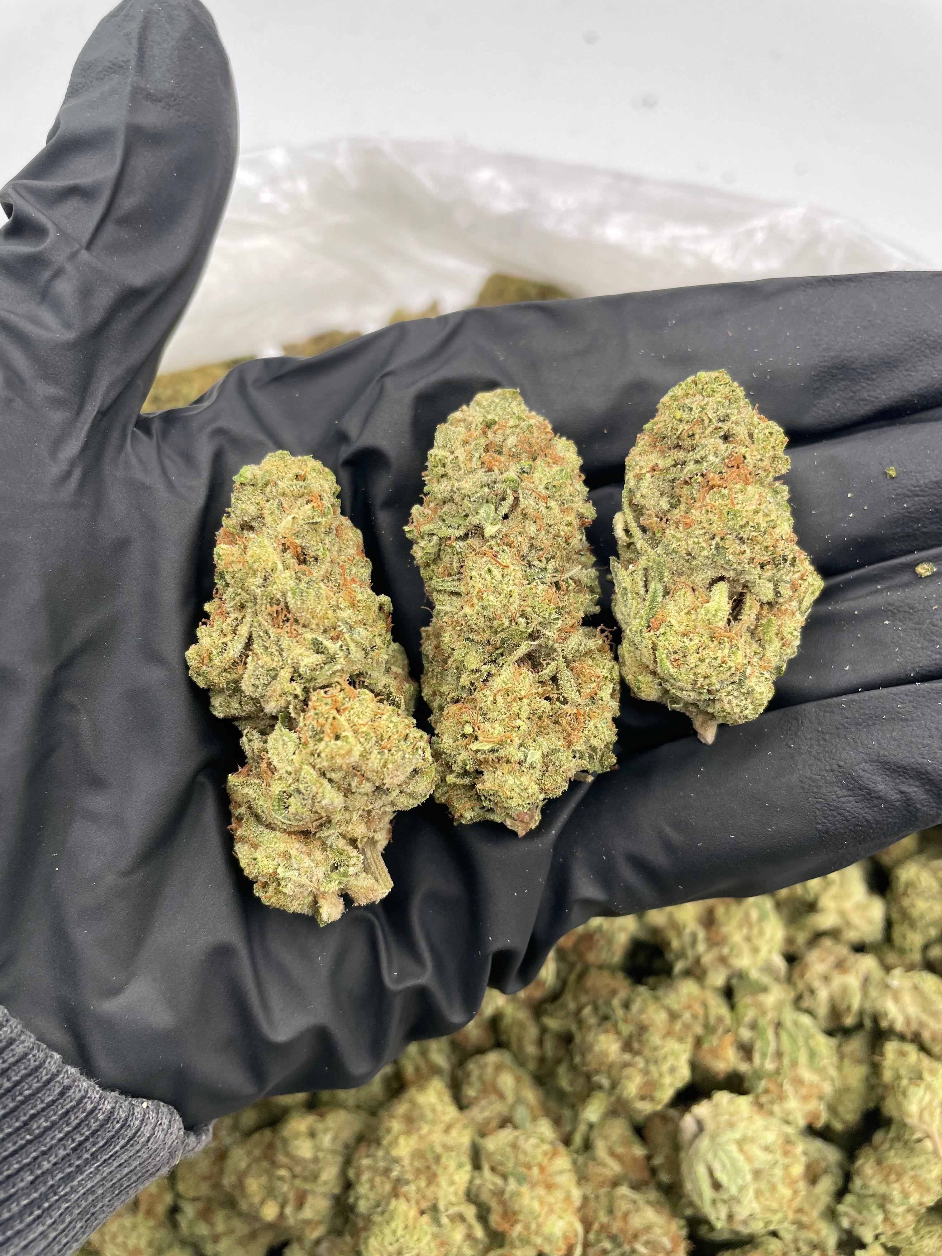 Thin Mint
