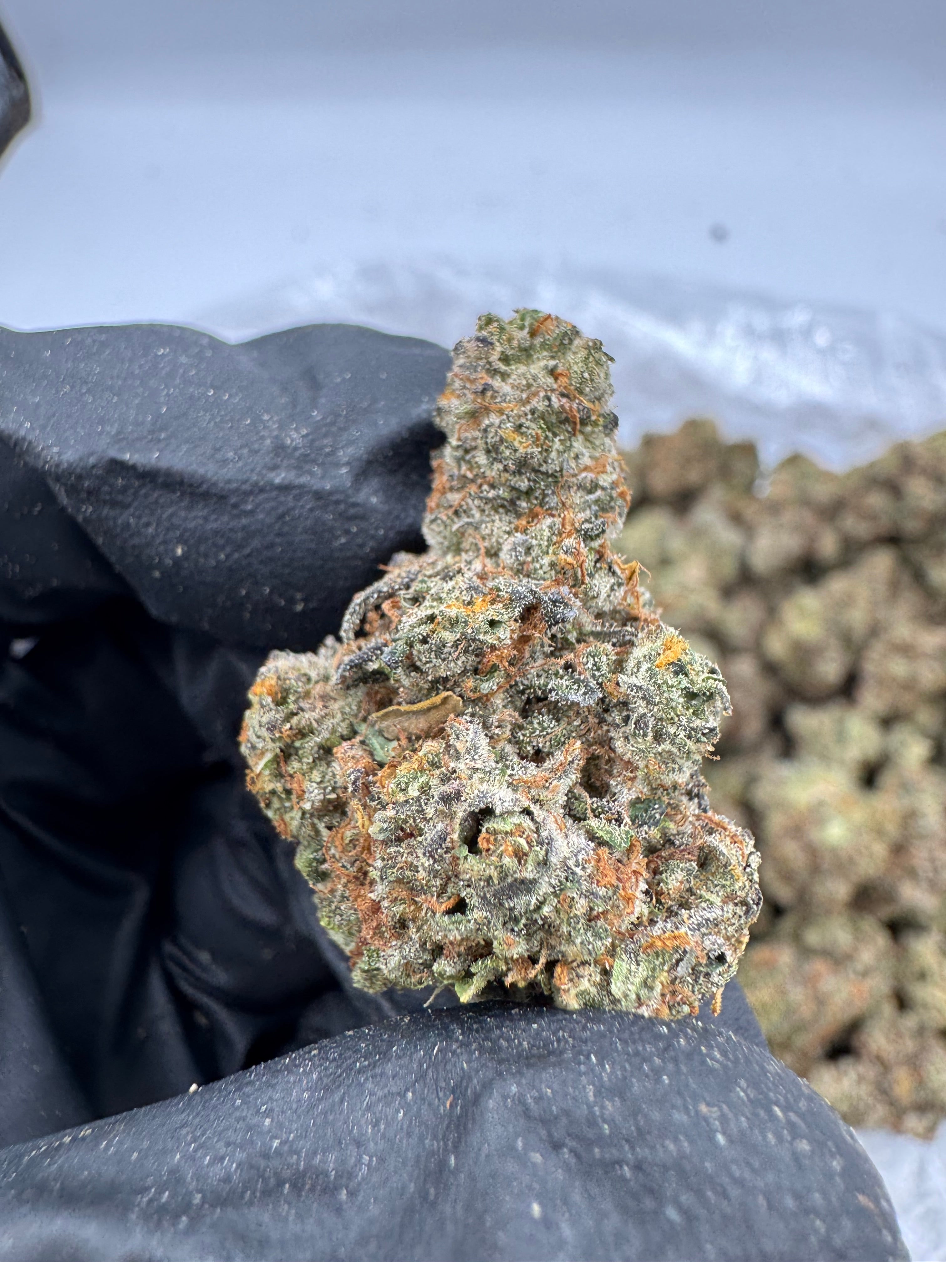 Truffle Butter