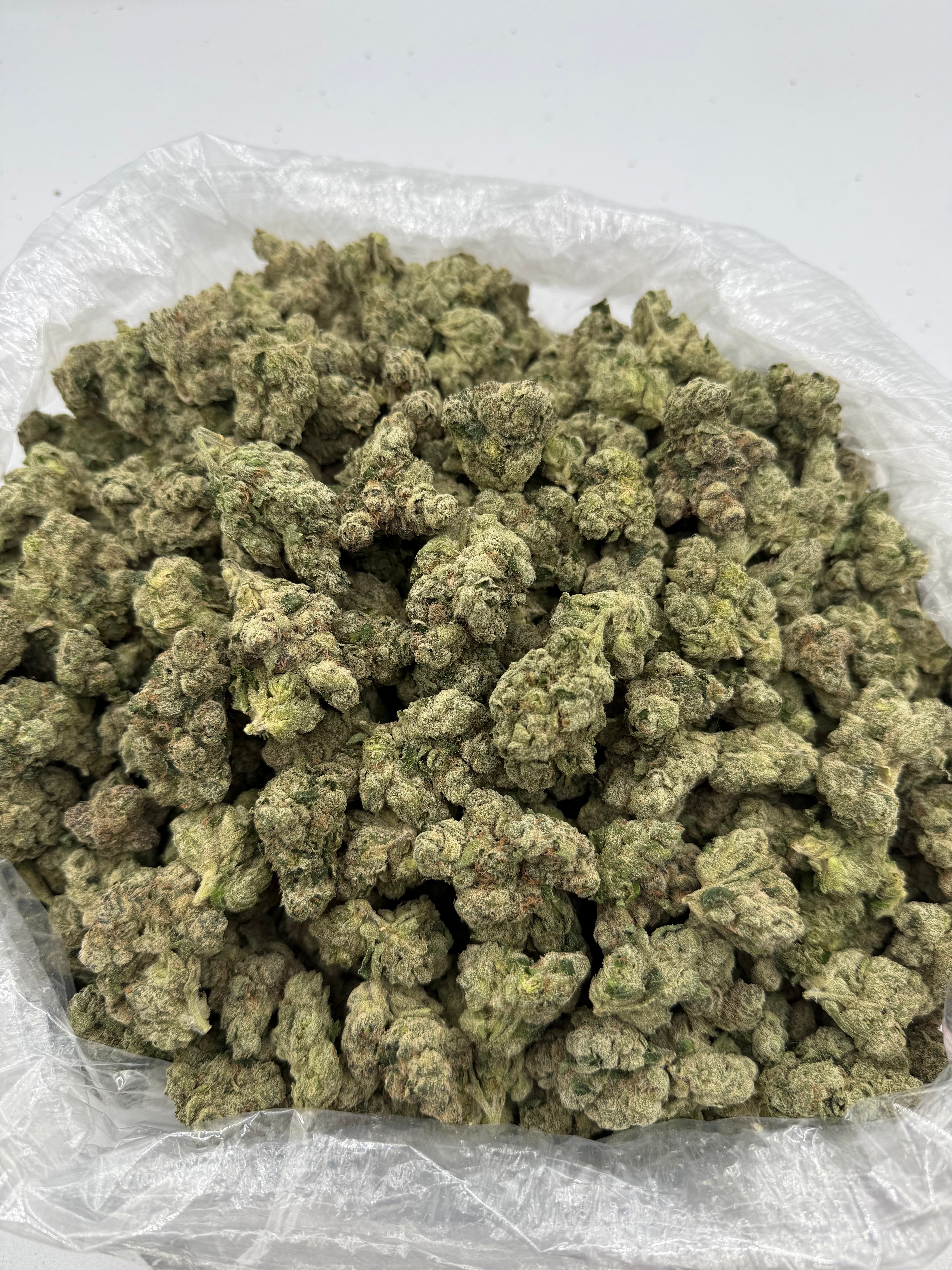 White Runtz (MOTA)