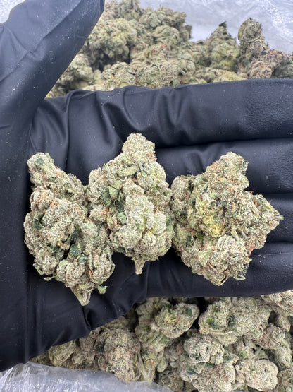 White Runtz (MOTA)