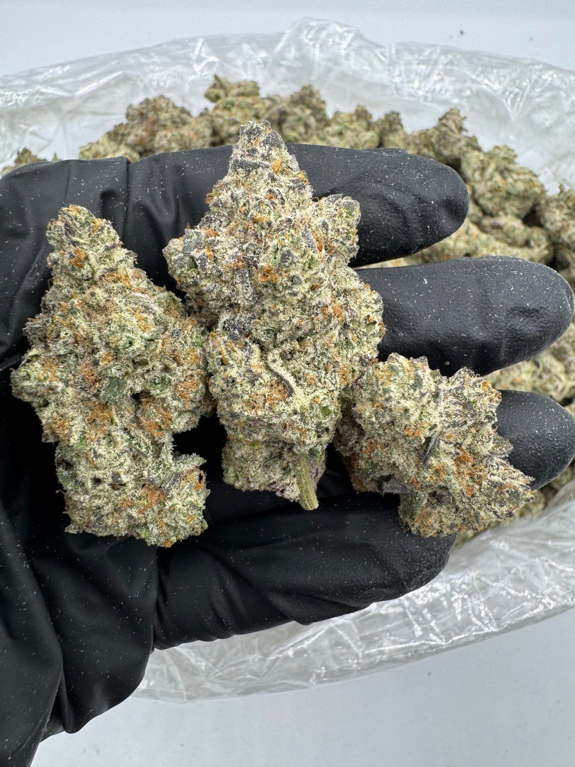 THCA Frosted Donutz