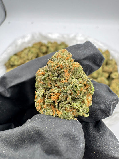 THCA Garlotti Runtz