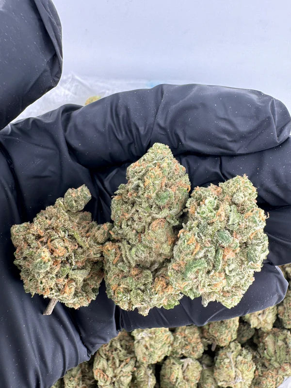 THCA   Pure   Michigan